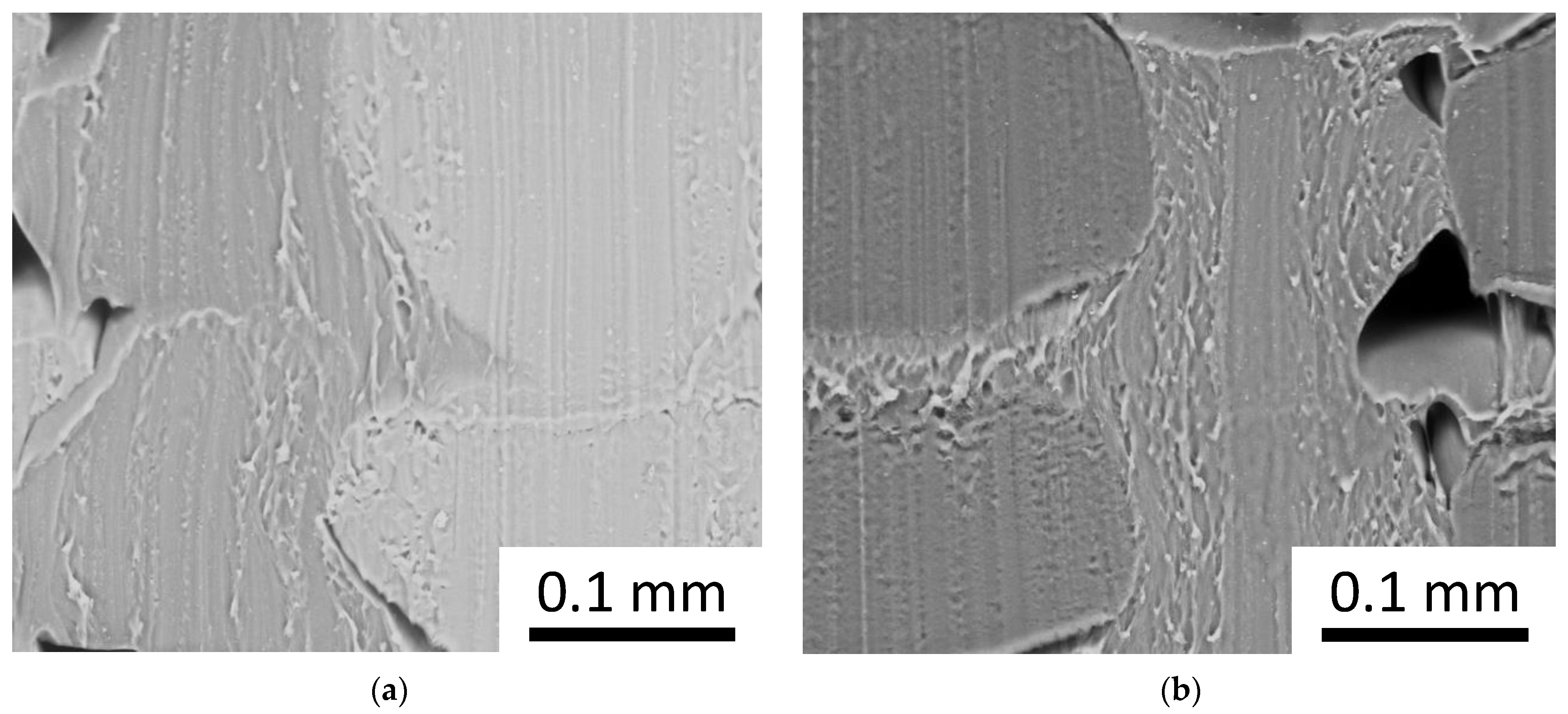 Materials 16 00820 g009