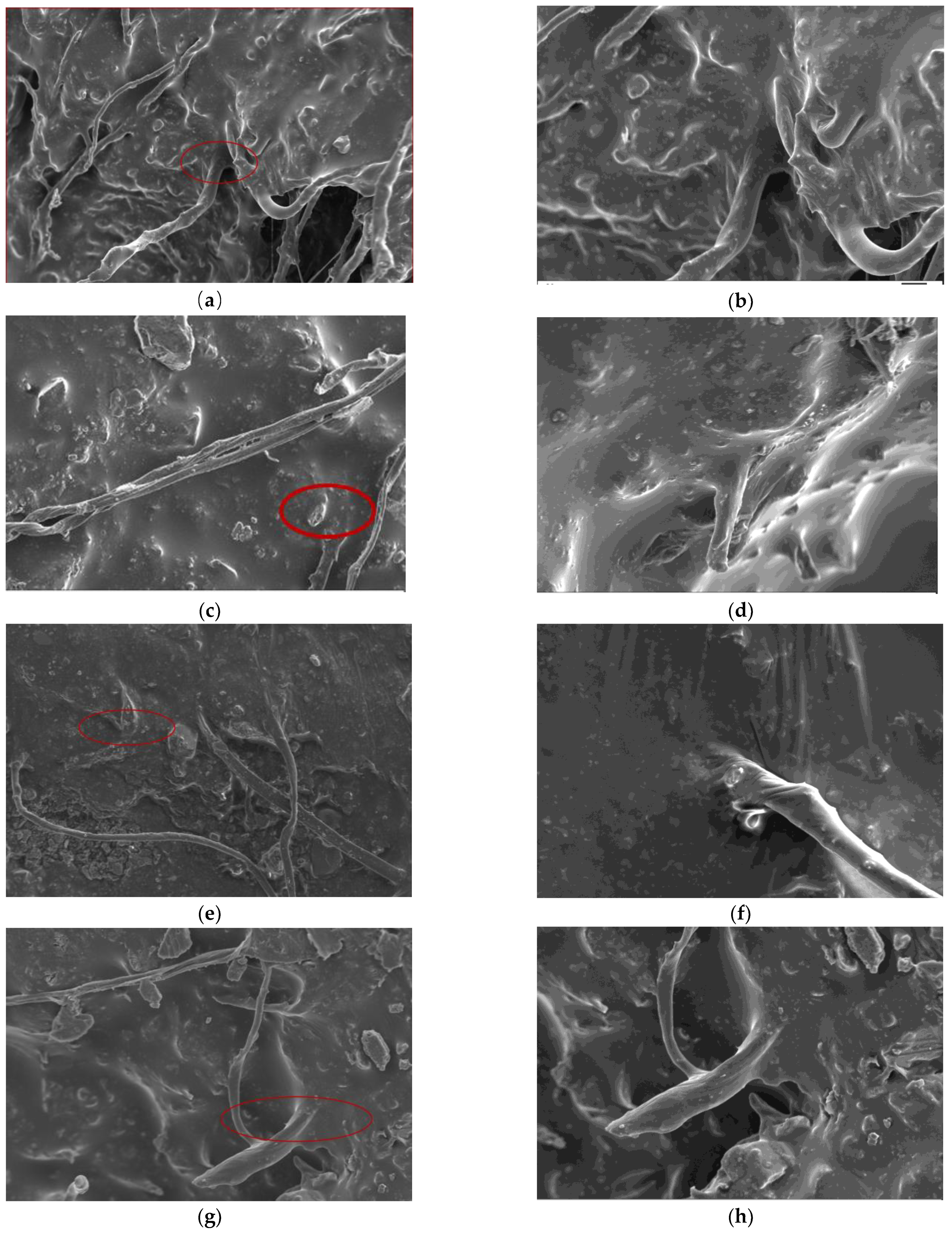 Materials 16 00822 g016a