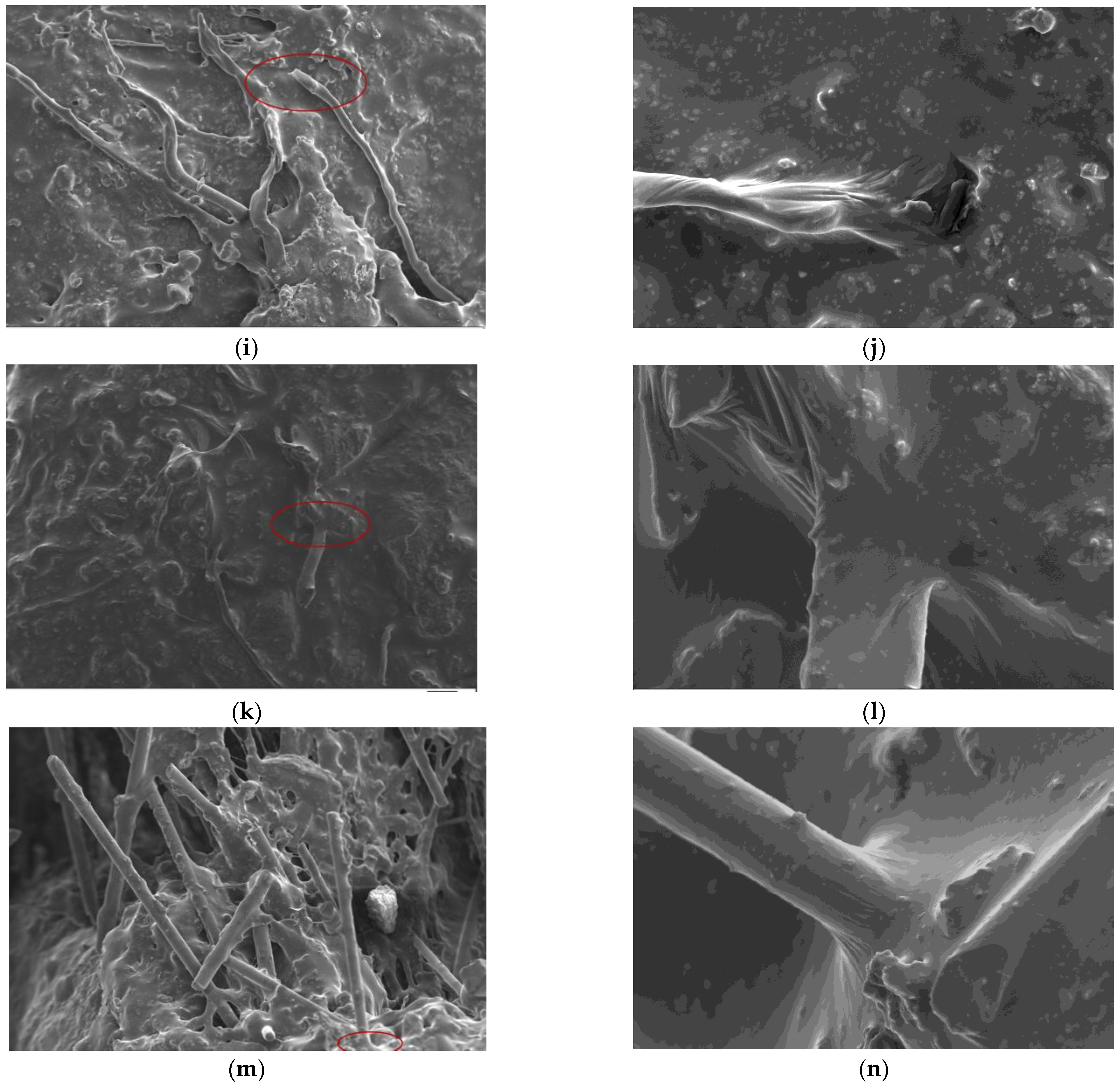 Materials 16 00822 g016b