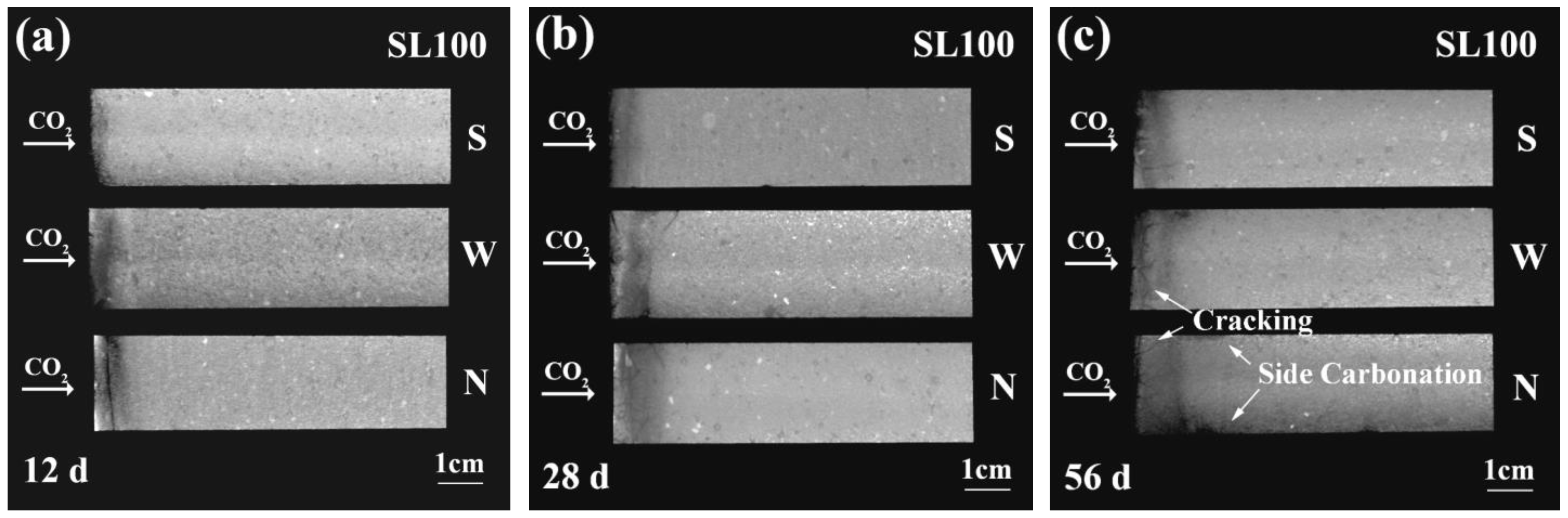 Materials 16 00825 g003