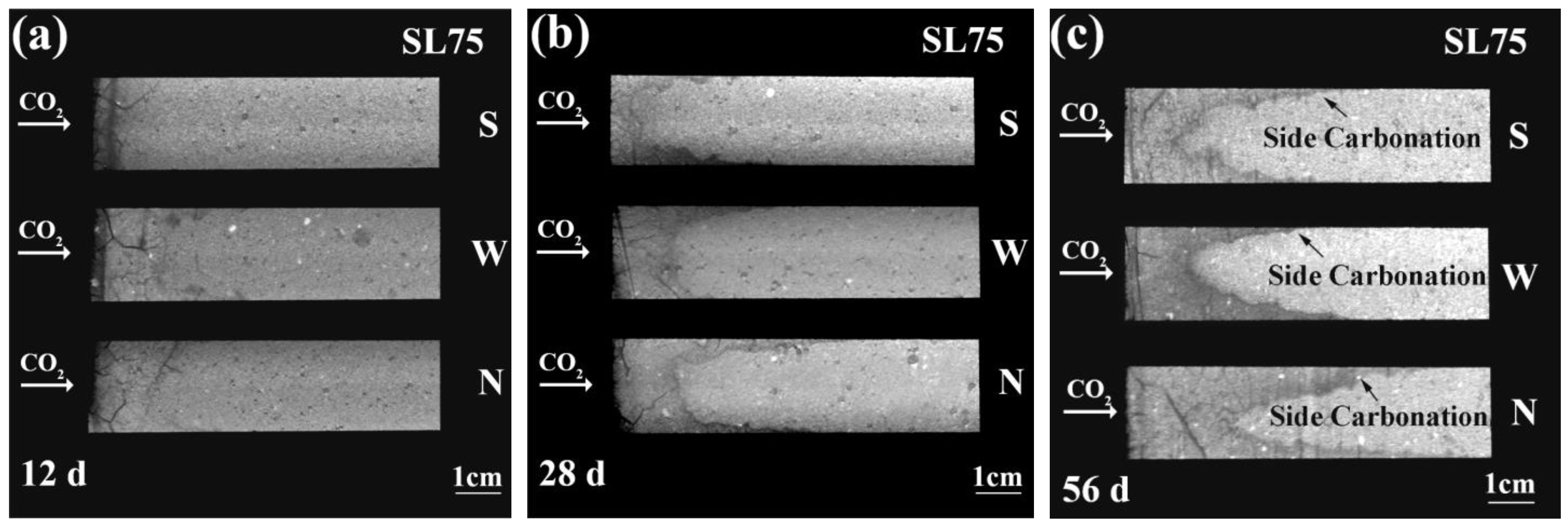 Materials 16 00825 g004