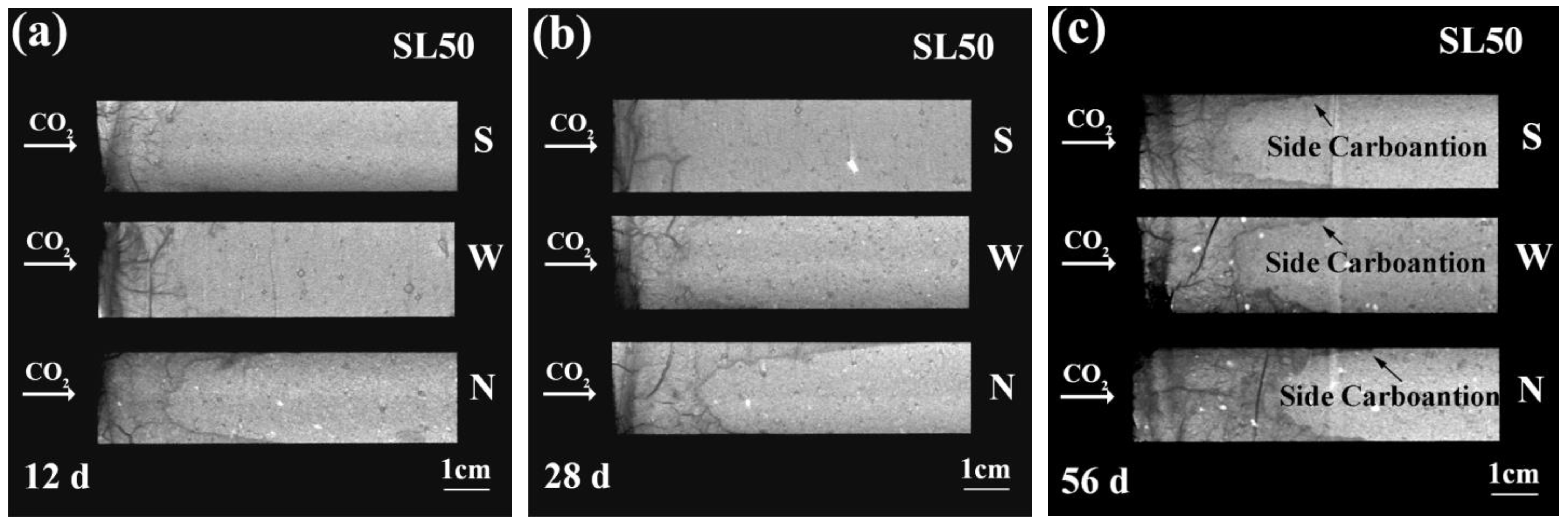 Materials 16 00825 g005