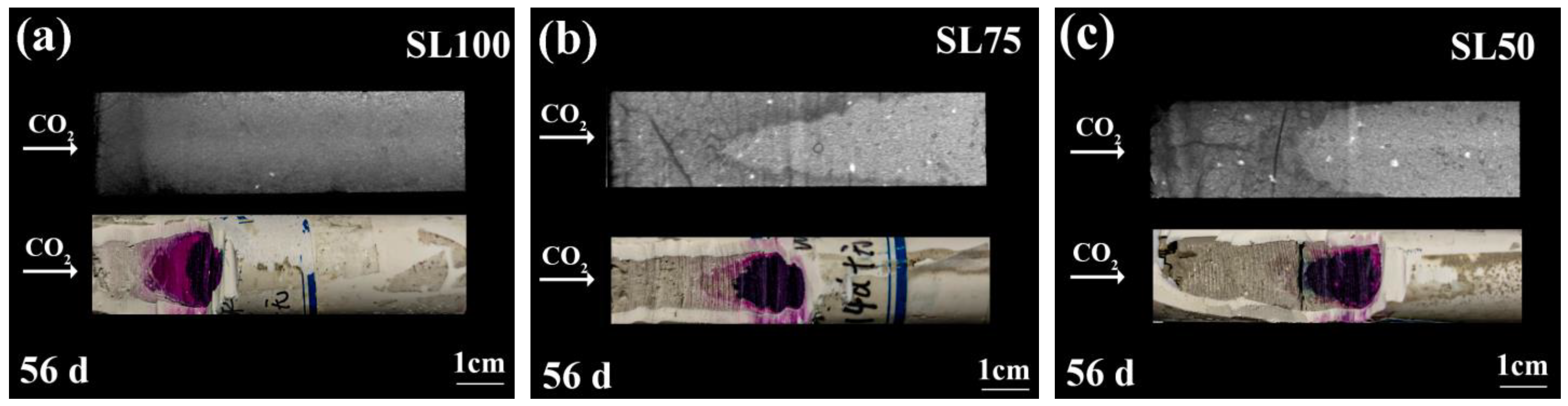 Materials 16 00825 g006