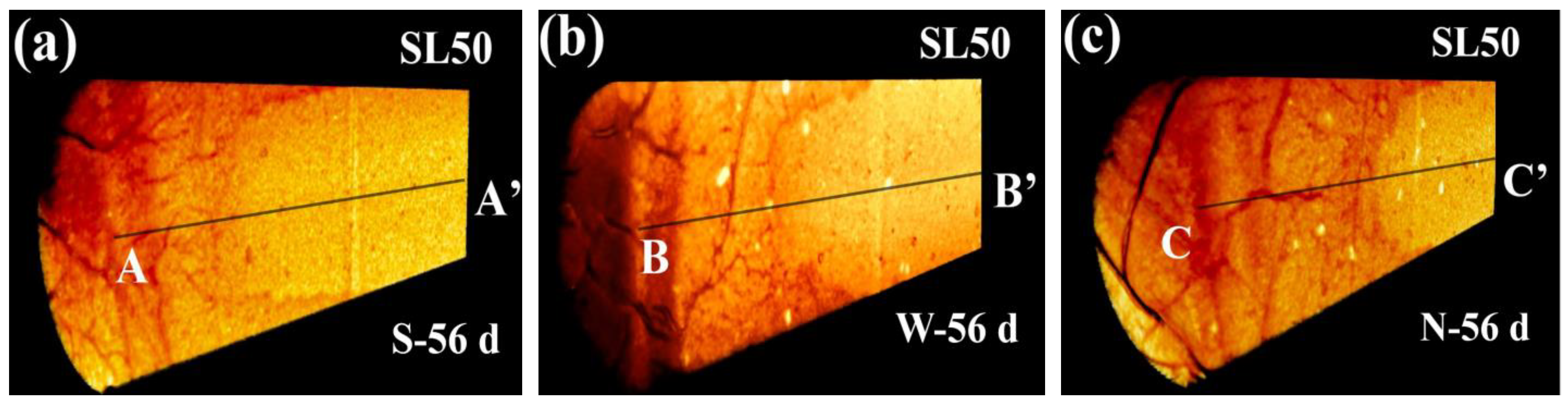 Materials 16 00825 g010a