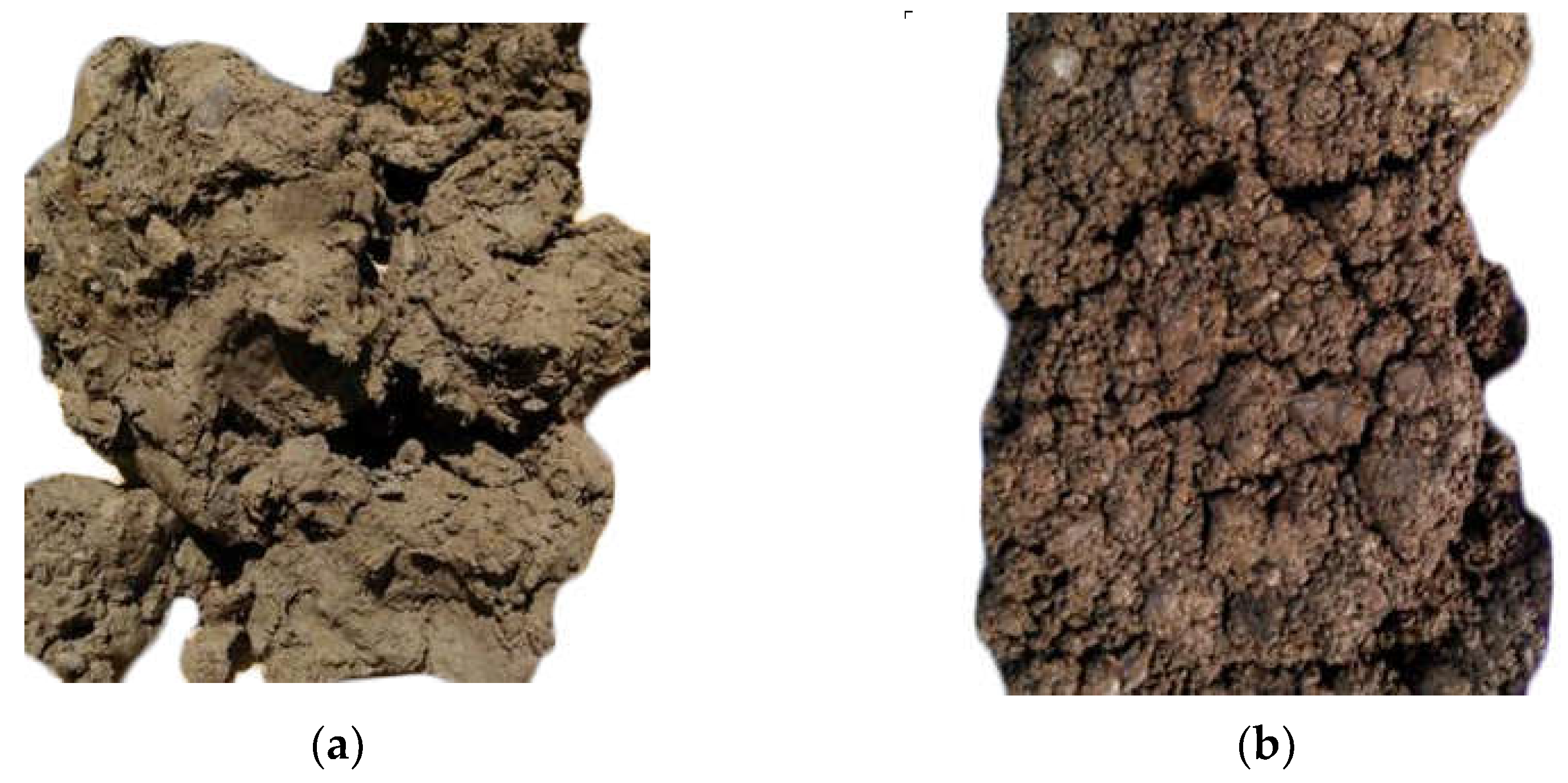 Materials 16 00832 g003 550