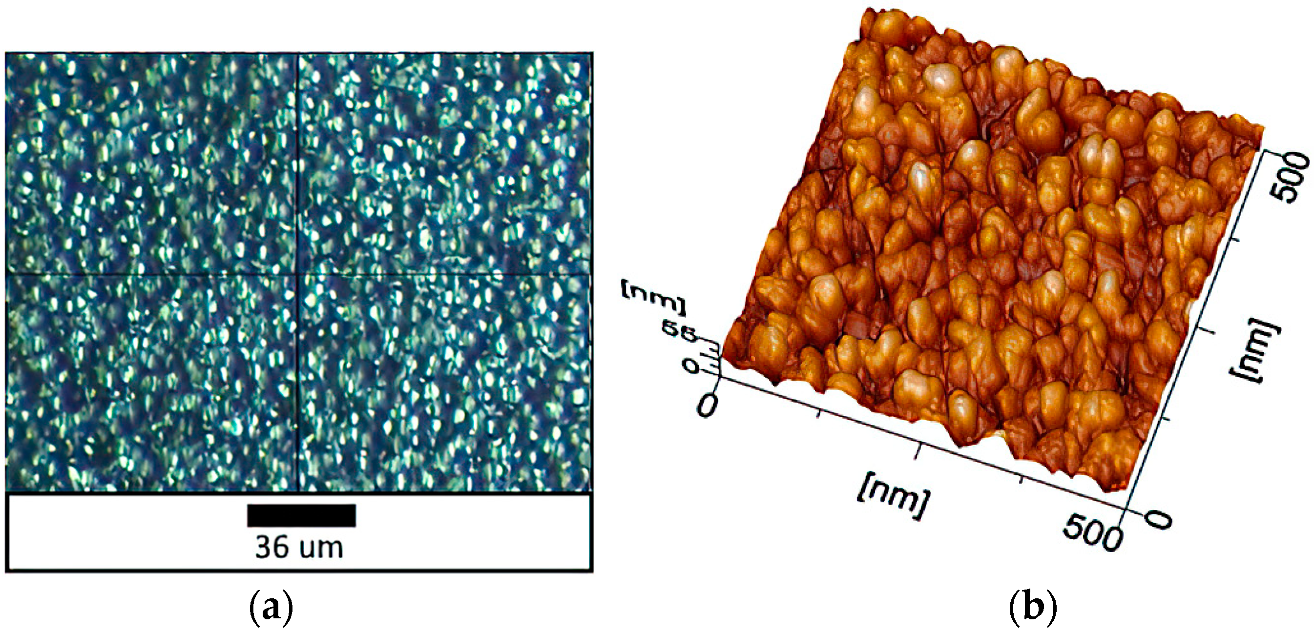 Materials 16 00838 g004