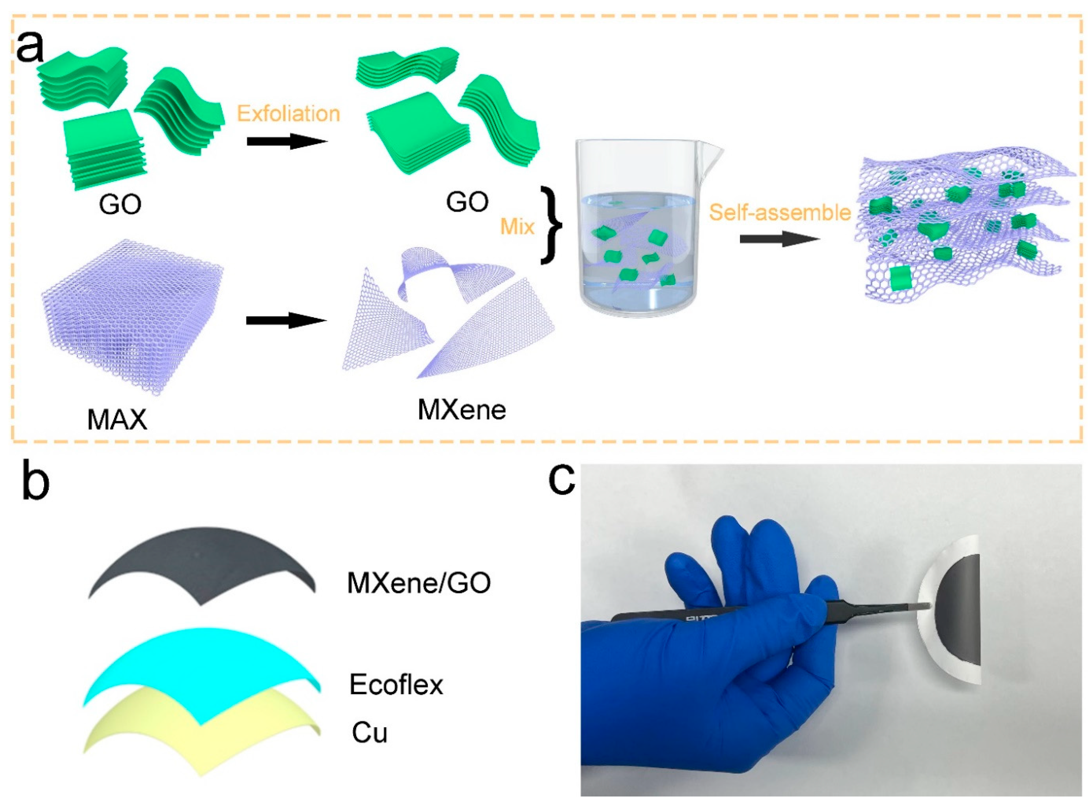 Materials 16 00841 g001