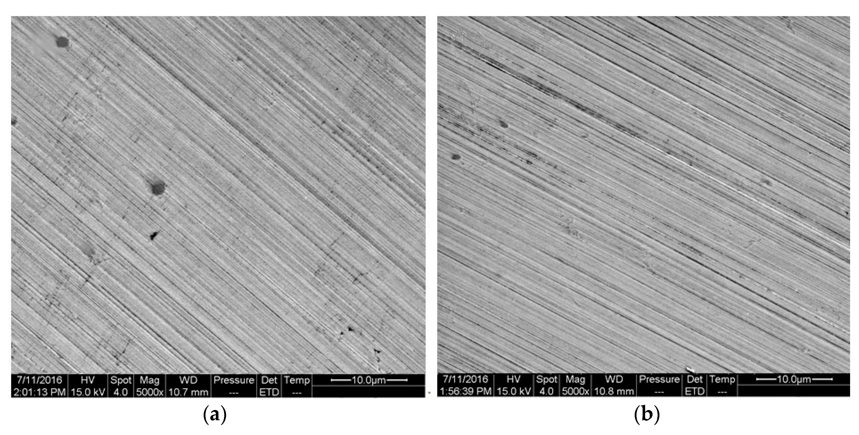 Materials 16 00843 g016