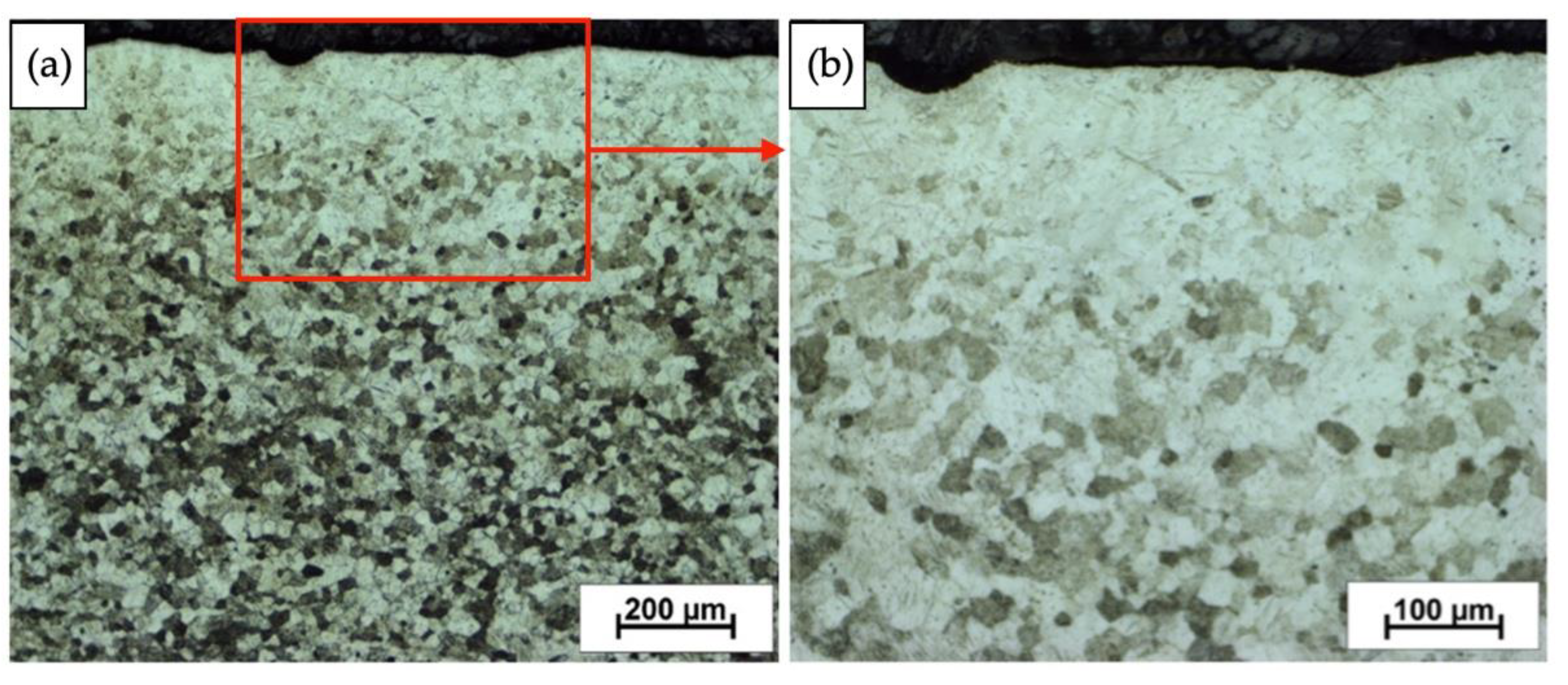 Materials 16 00847 g008