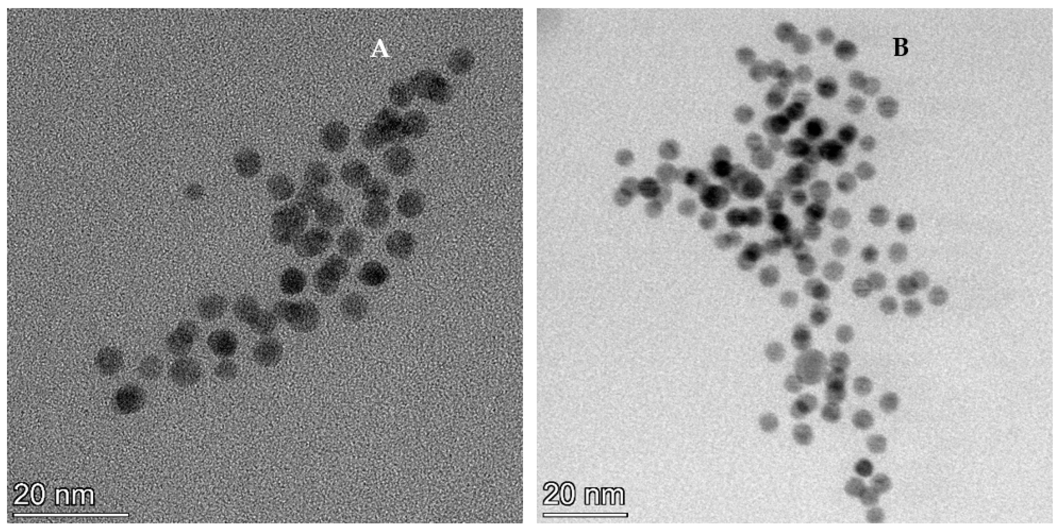 Materials 16 00852 g003a Materials 16 00852 g003a