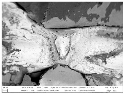 Materials 16 00864 i006