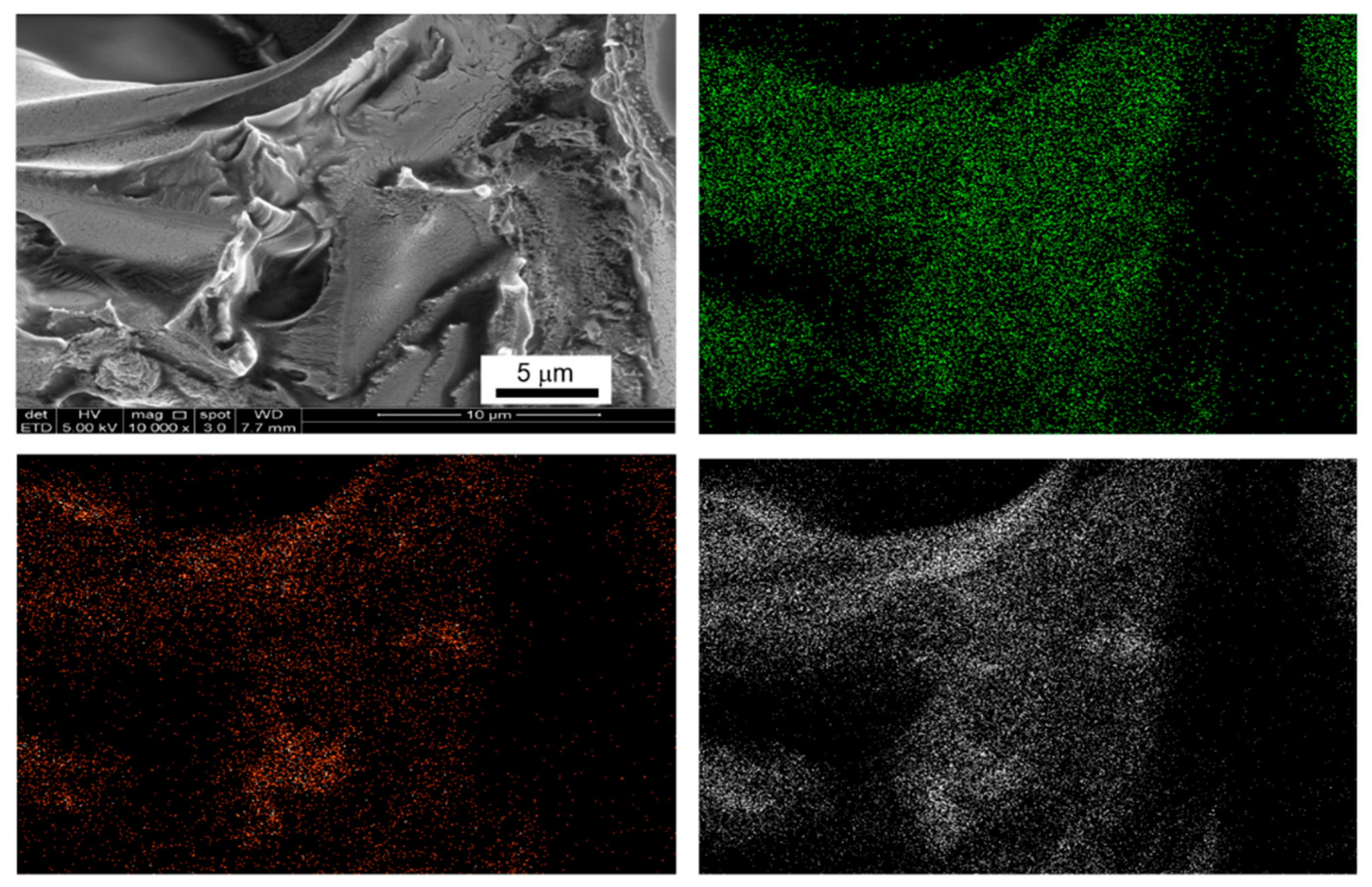 Materials 16 00867 g011 Materials 16 00867 g011