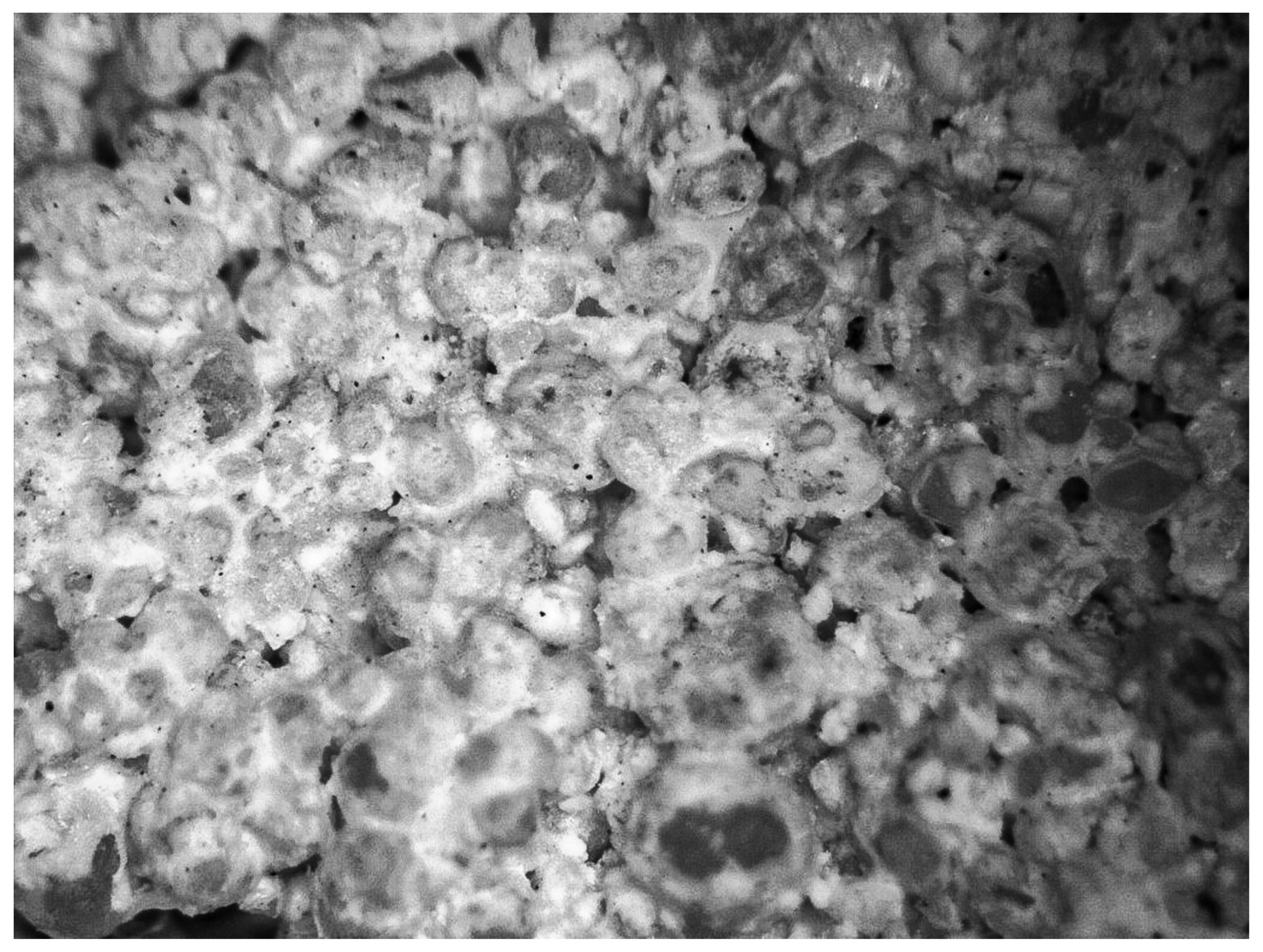 Materials 16 00870 g012