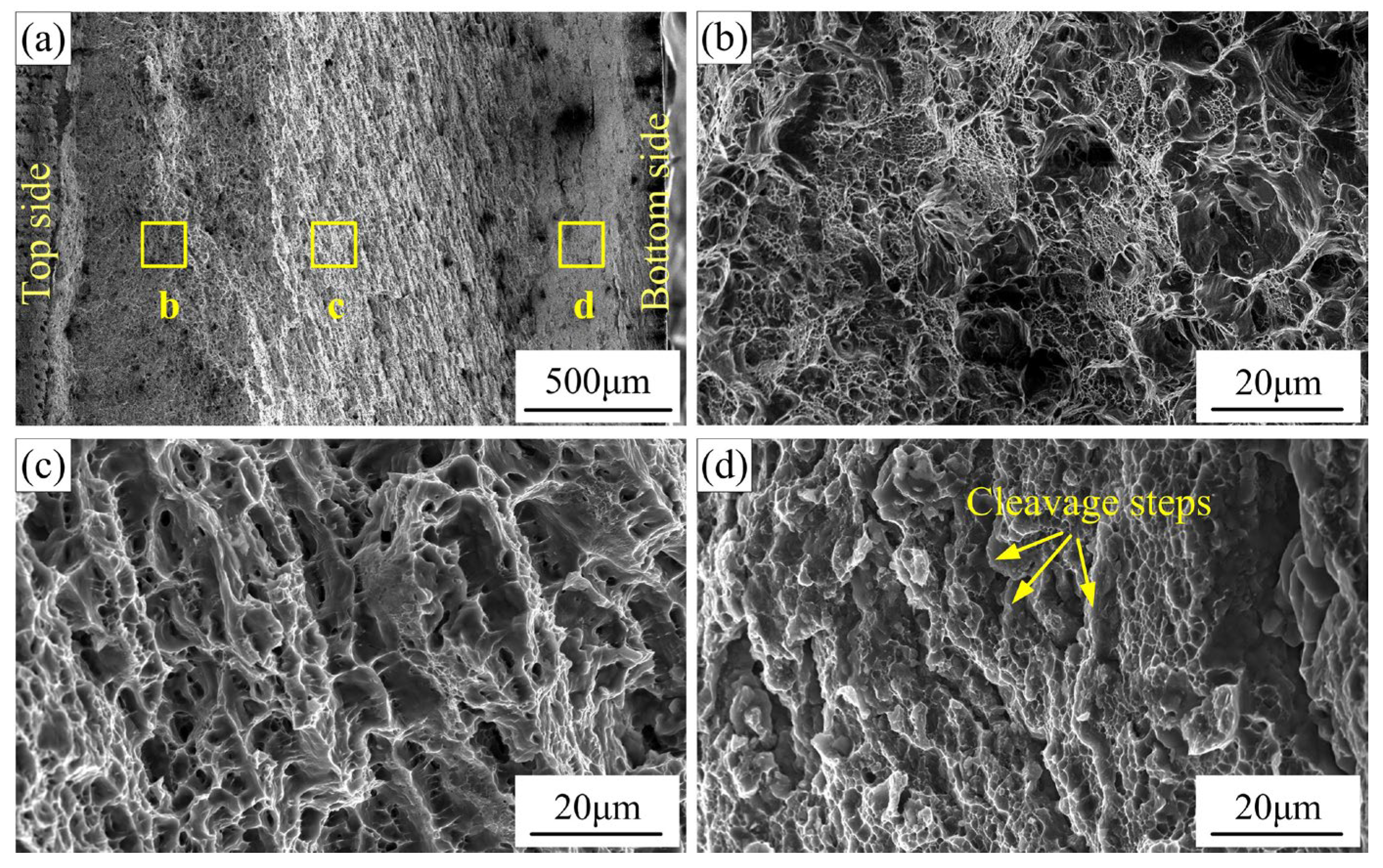 Materials 16 00873 g017 550