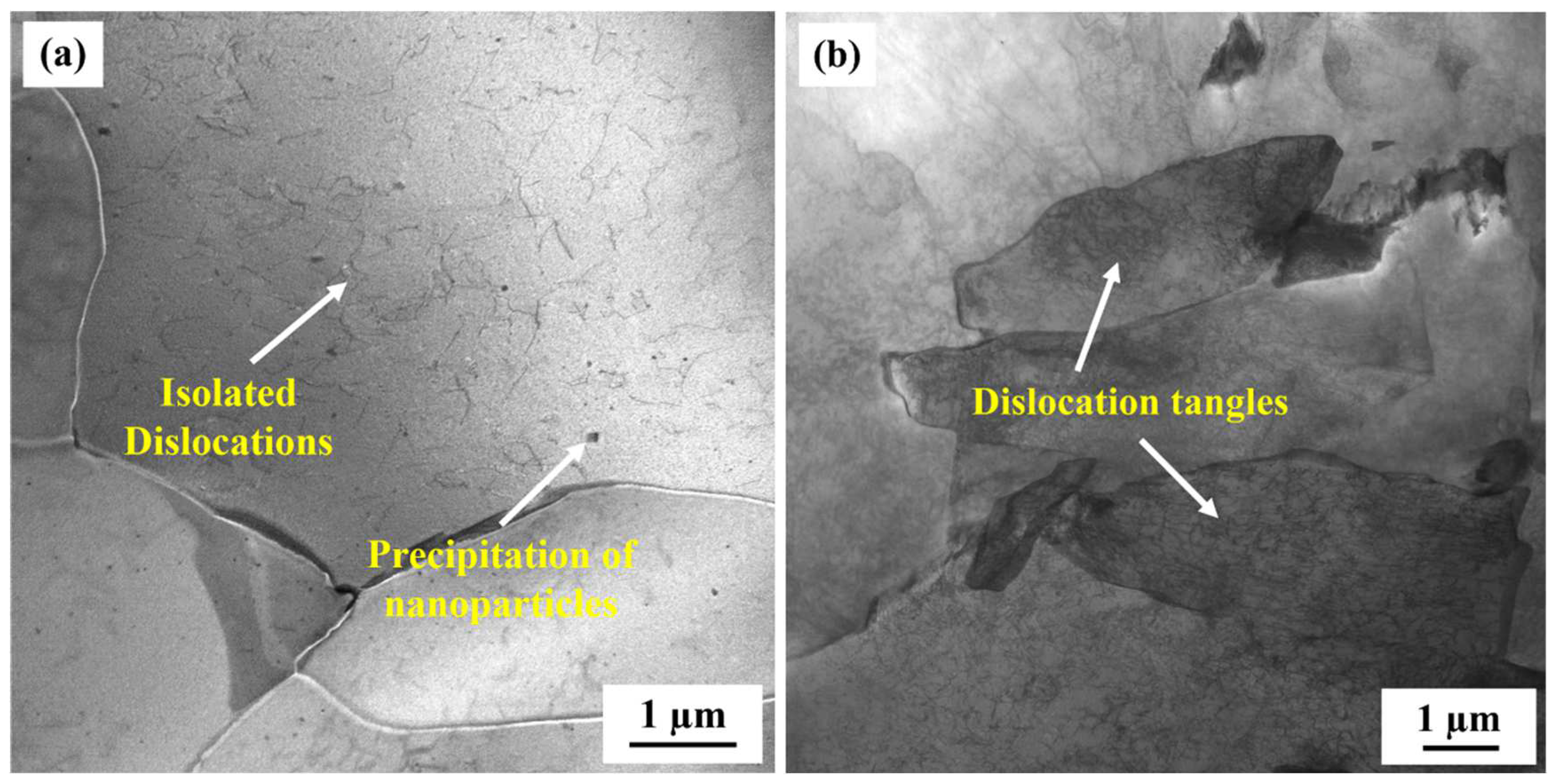 Materials 16 00876 g007 Materials 16 00876 g007