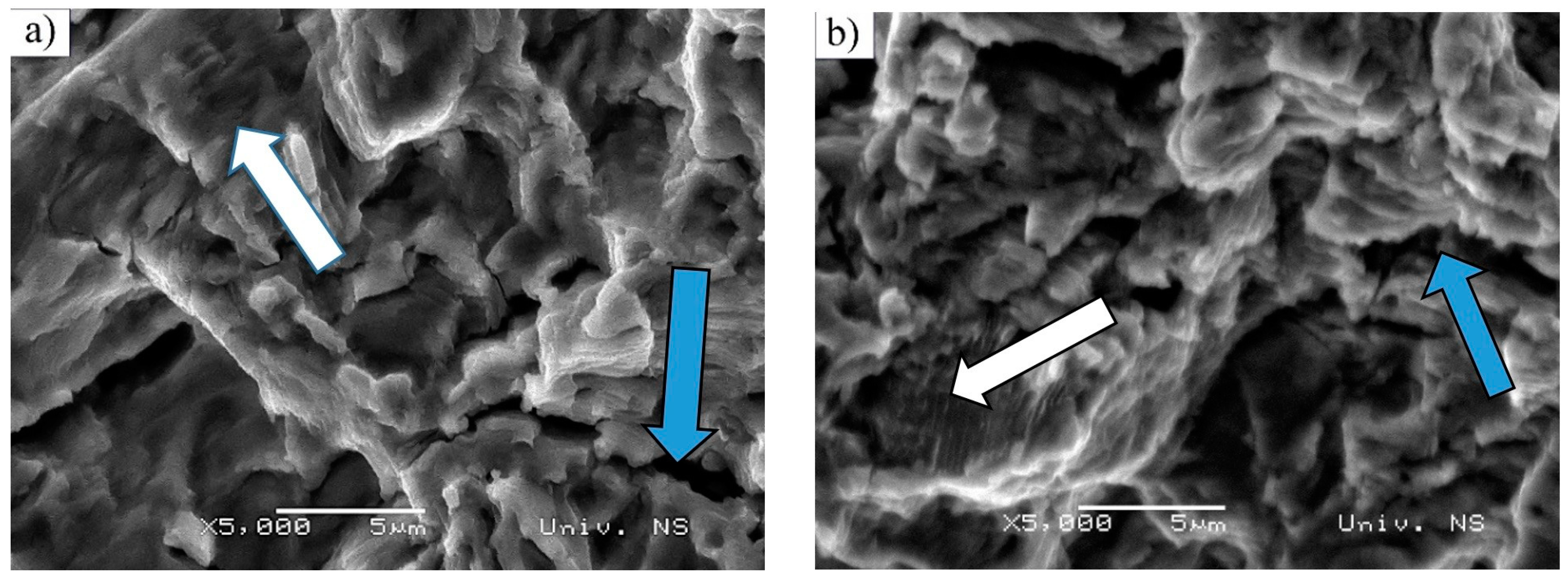 Materials 16 00884 g007