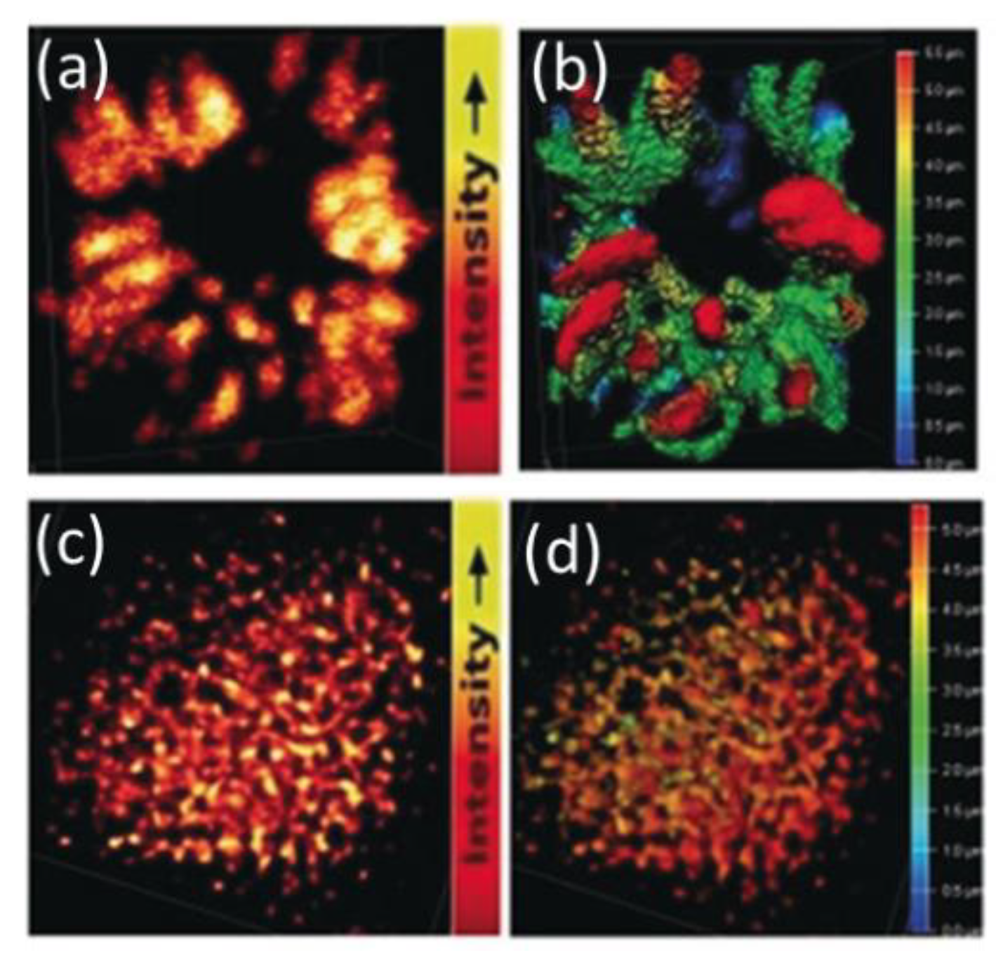 Materials 16 00890 g007 Materials 16 00890 g007