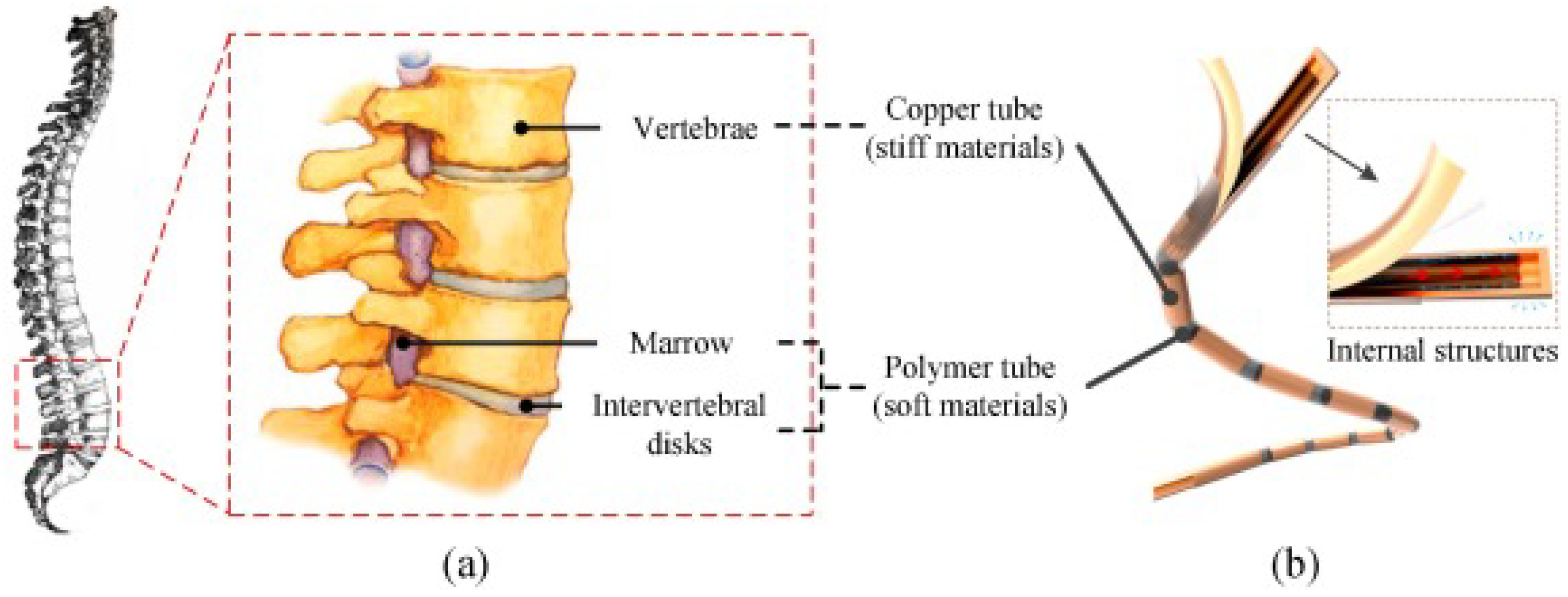 Materials 16 00893 g005 Materials 16 00893 g005