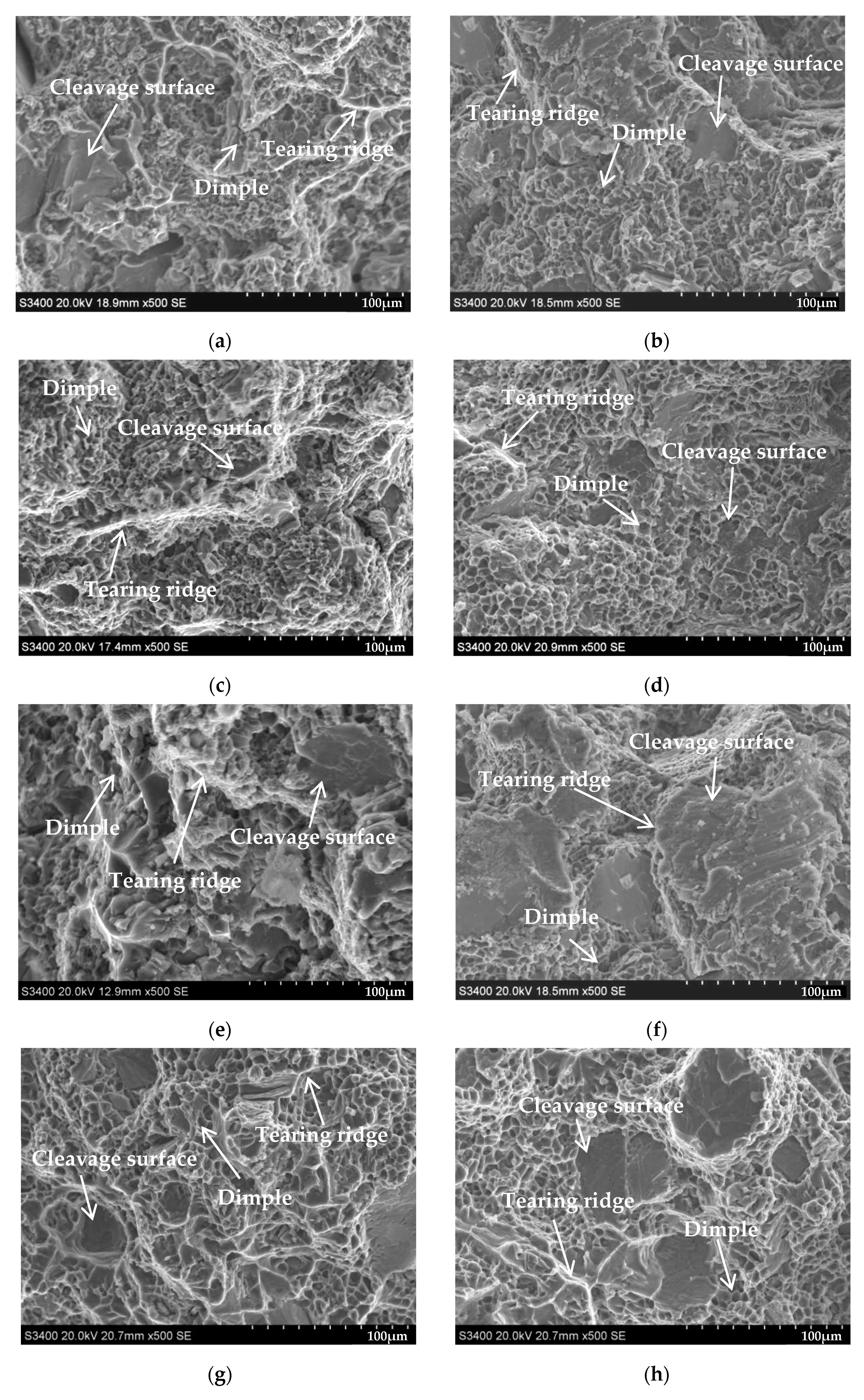 Materials 16 00902 g002 Materials 16 00902 g002
