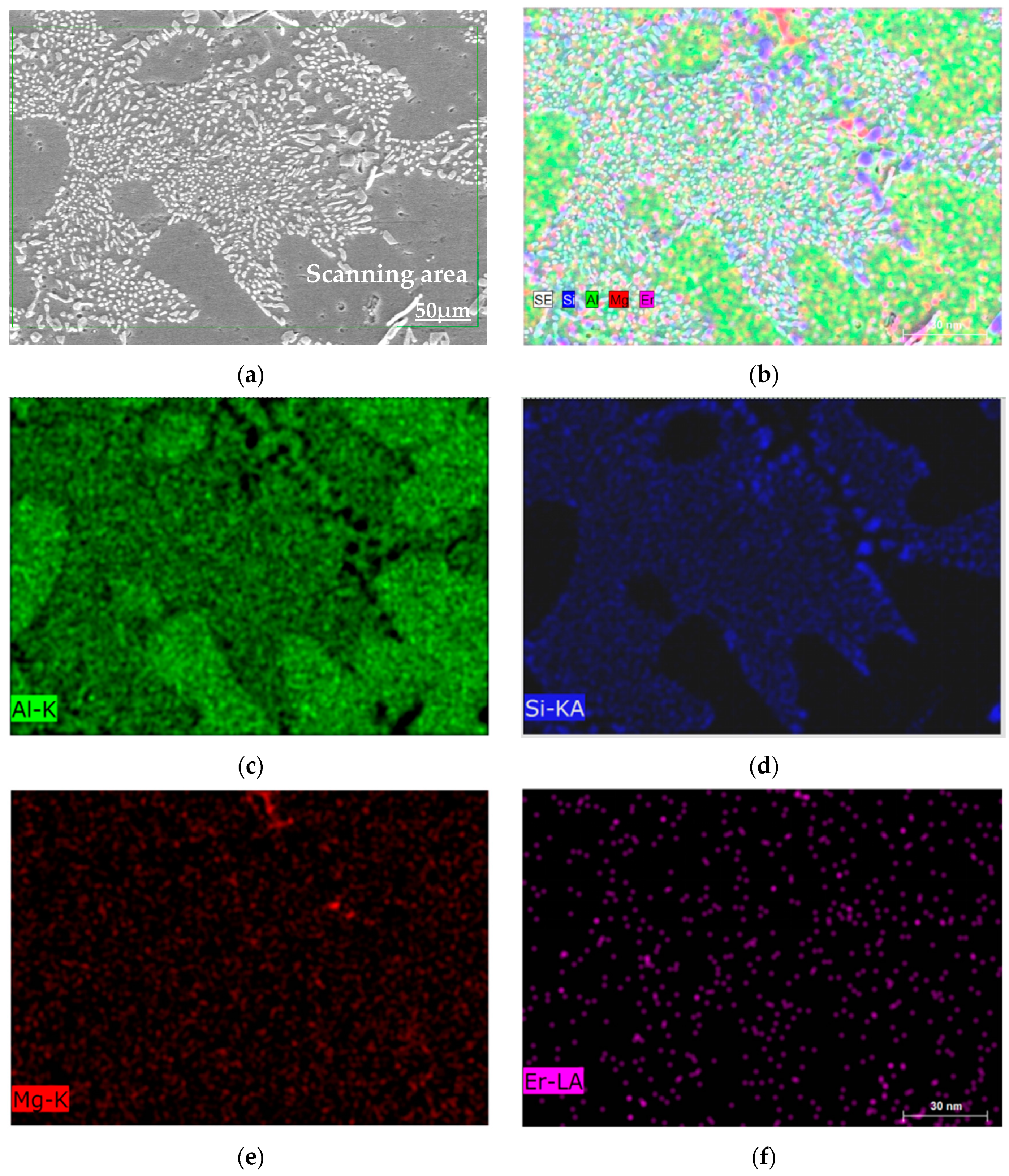 Materials 16 00902 g004 Materials 16 00902 g004