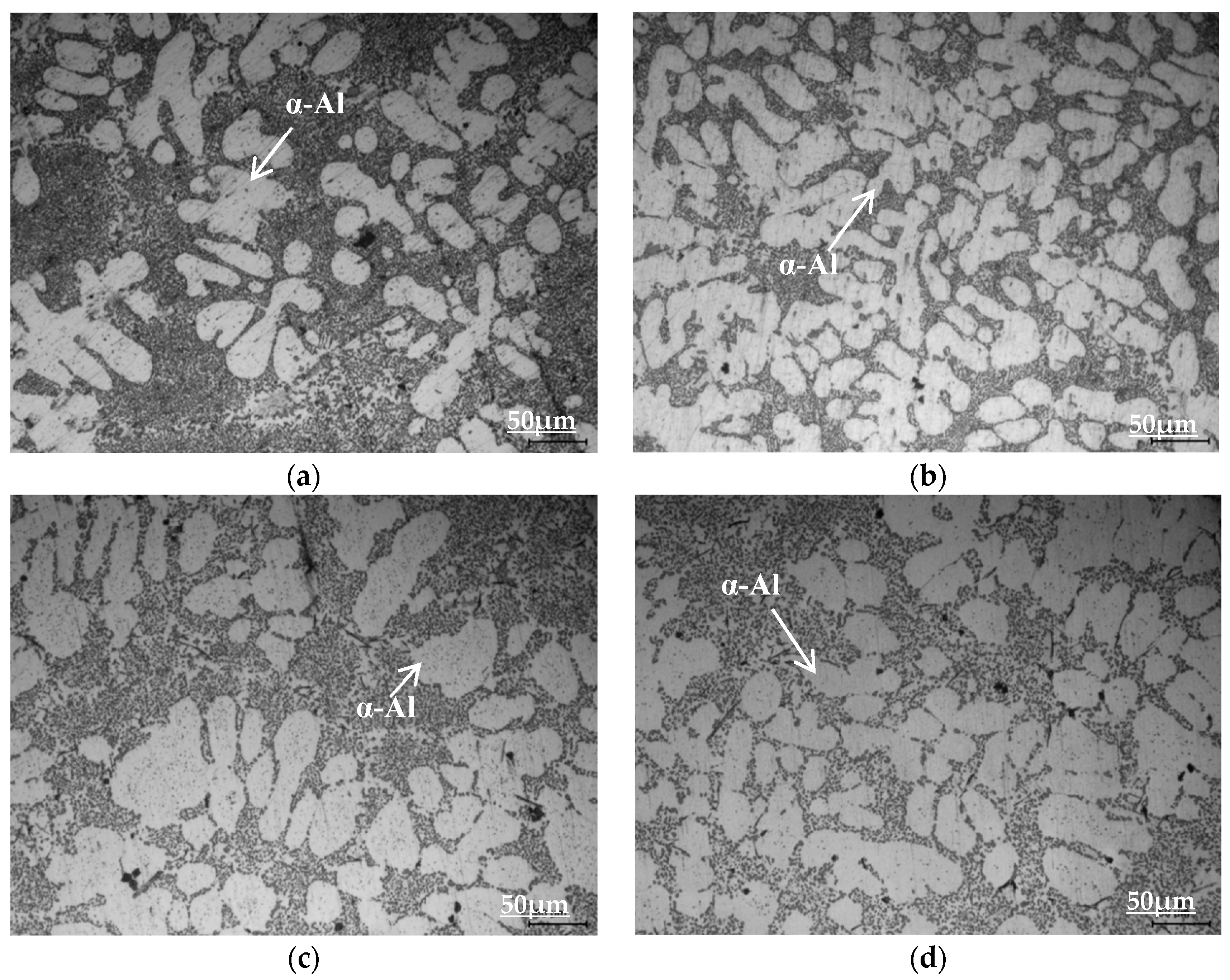 Materials 16 00902 g006 Materials 16 00902 g006