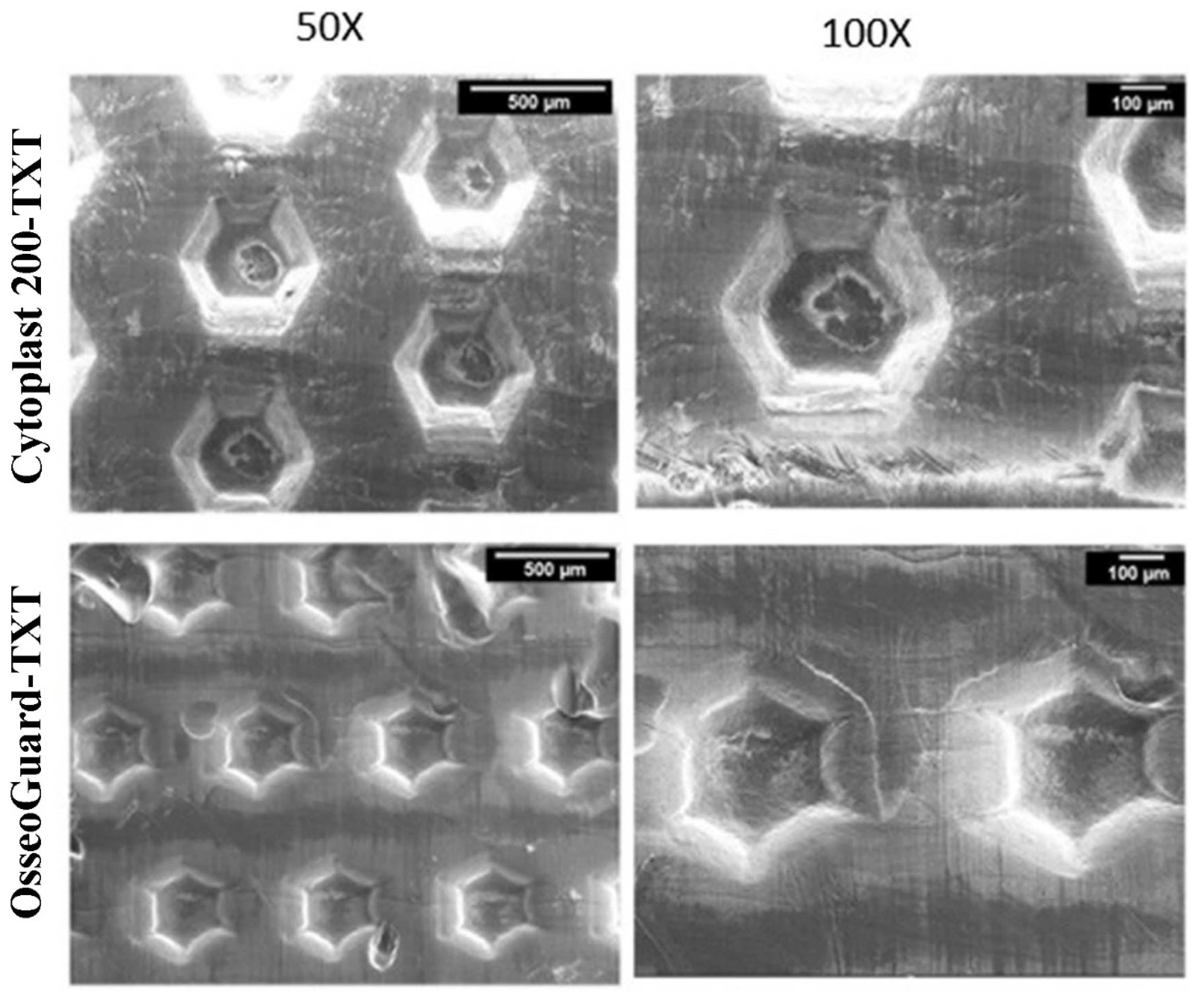 Materials 16 00904 g002 Materials 16 00904 g002