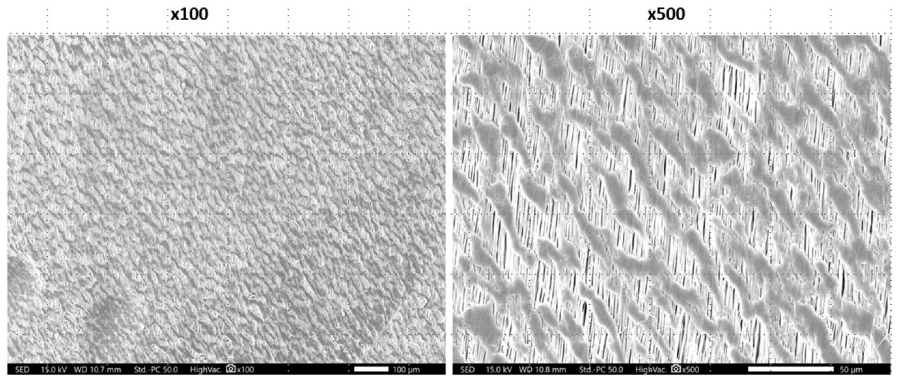 Materials 16 00904 g003 Materials 16 00904 g003