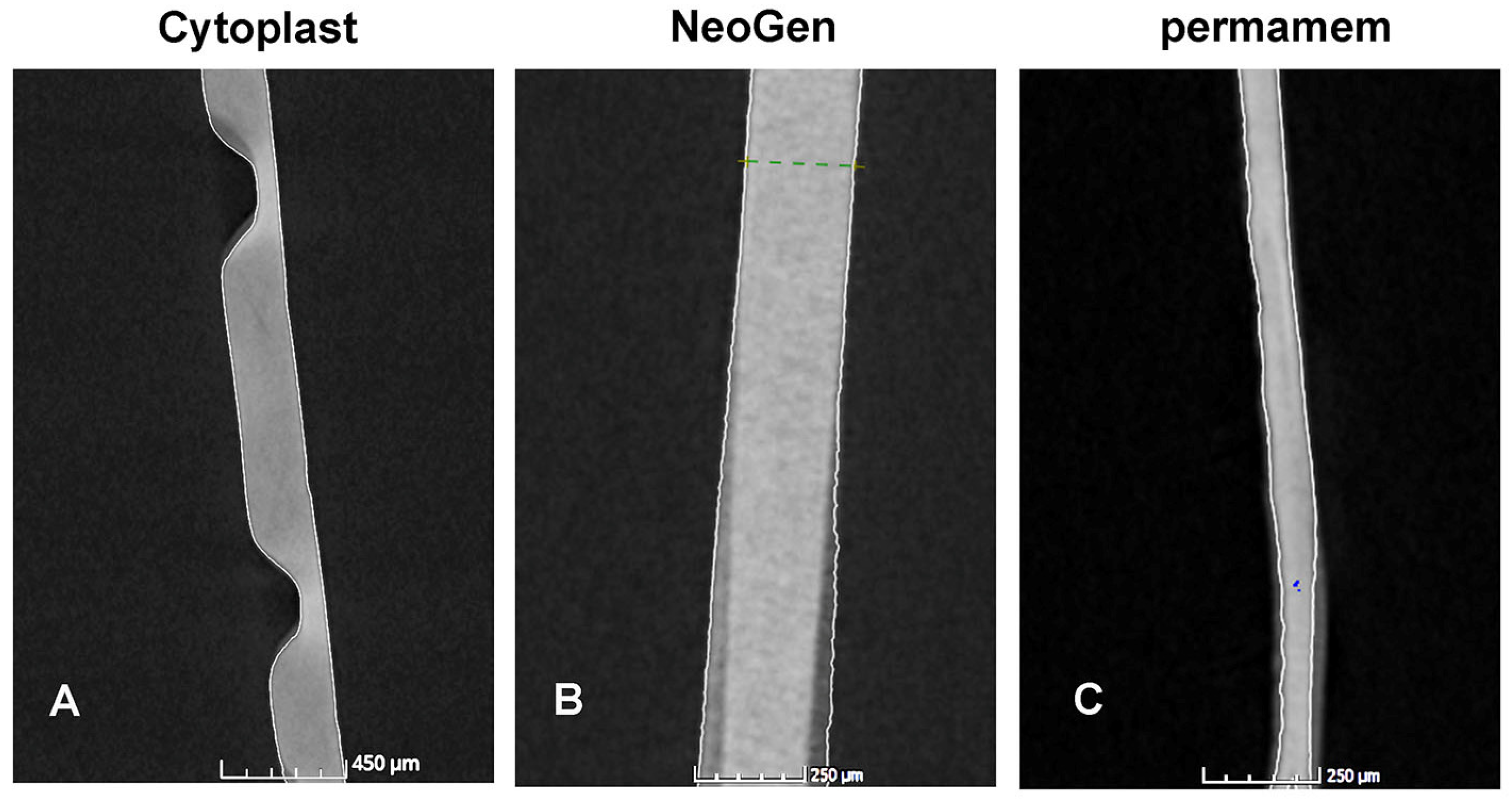 Materials 16 00904 g005 Materials 16 00904 g005