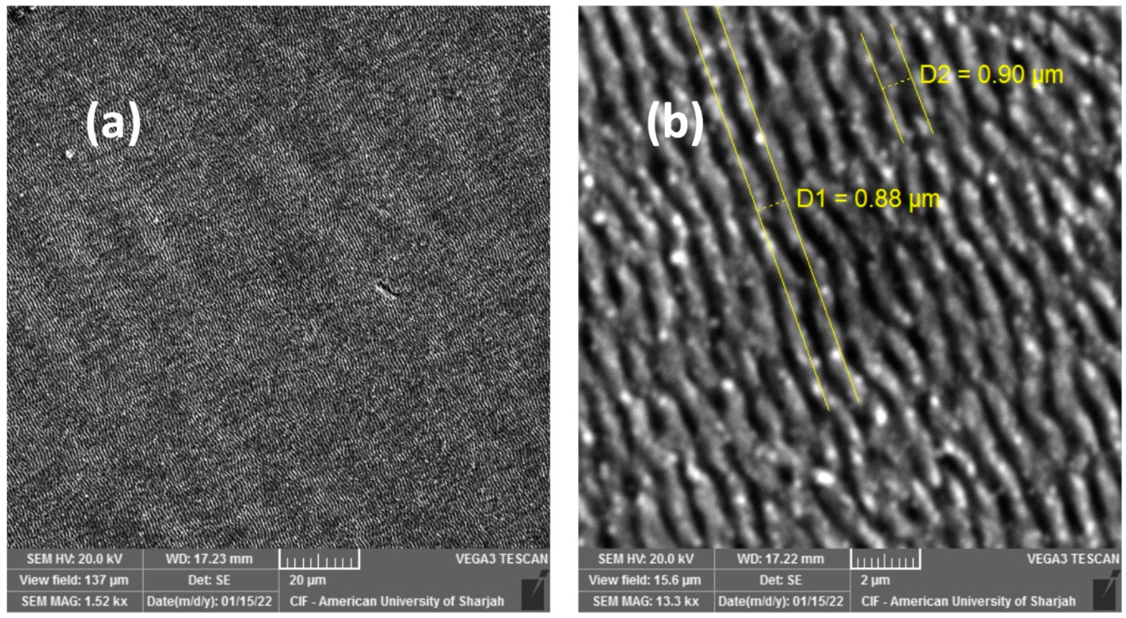 Materials 16 00909 g003 Materials 16 00909 g003