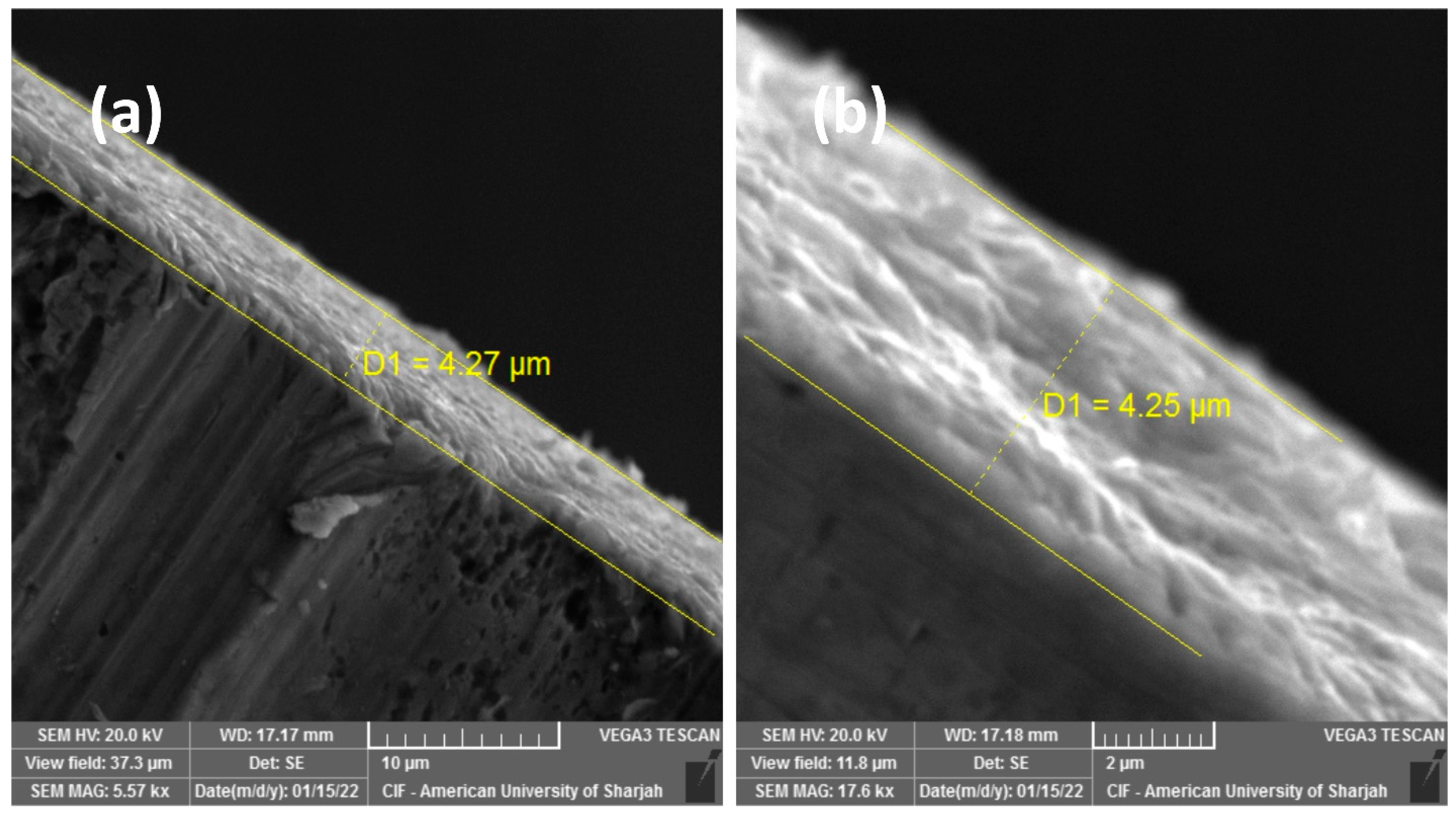 Materials 16 00909 g006 Materials 16 00909 g006