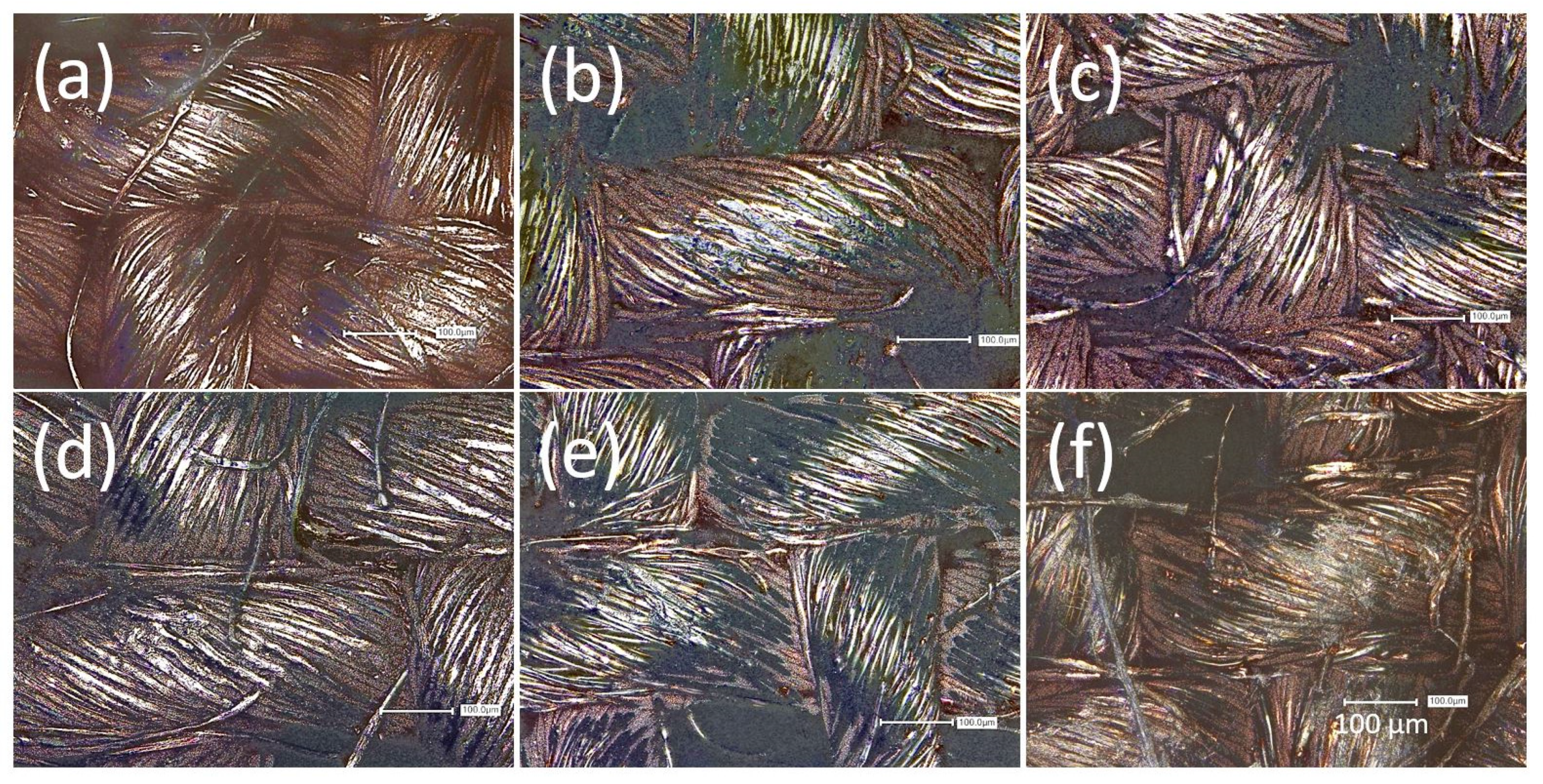 Materials 16 00912 g005 Materials 16 00912 g005