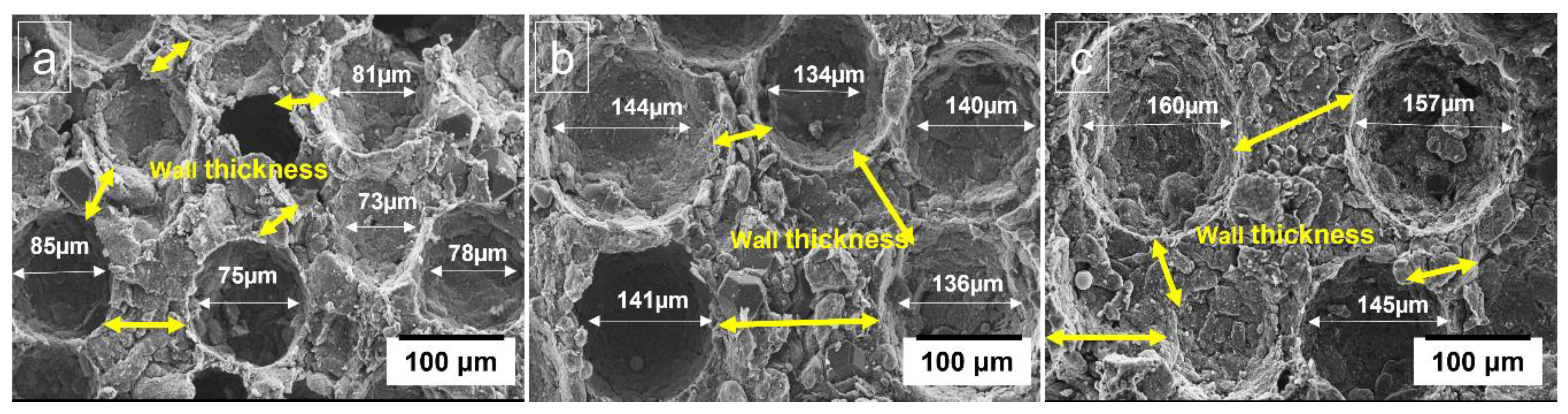 Materials 16 00921 g004