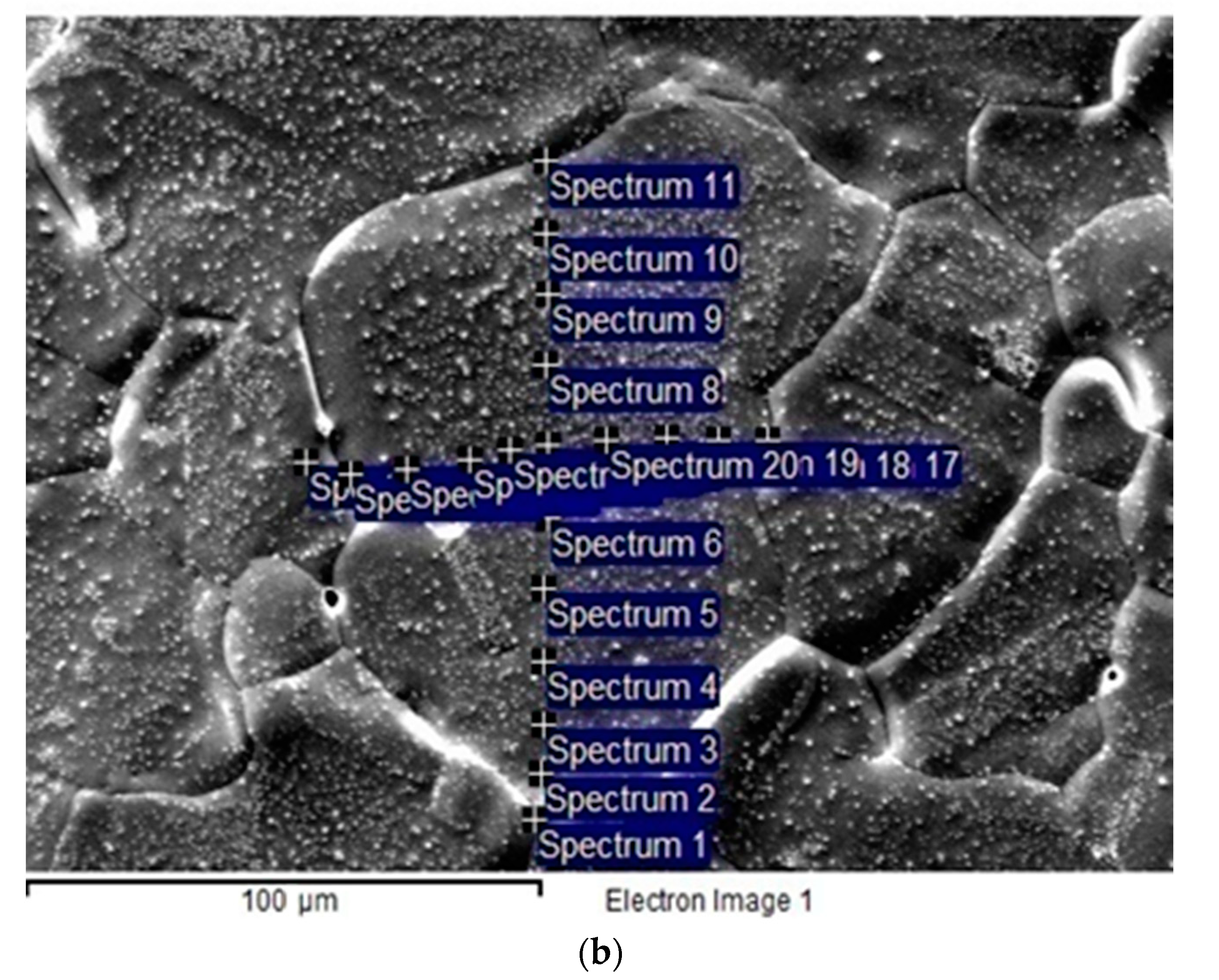 Materials 16 00922 g001b