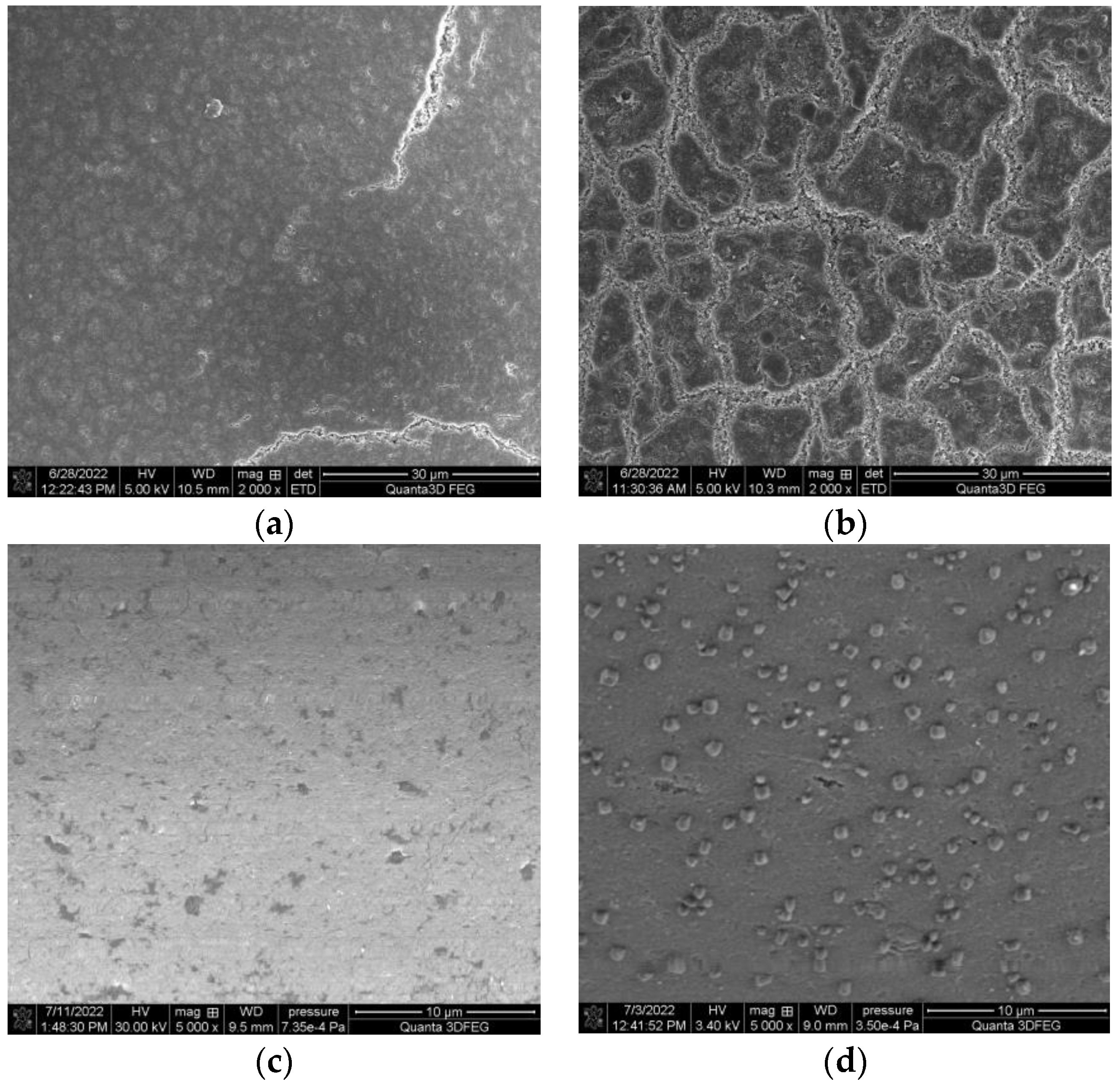 Materials 16 00924 g007 Materials 16 00924 g007