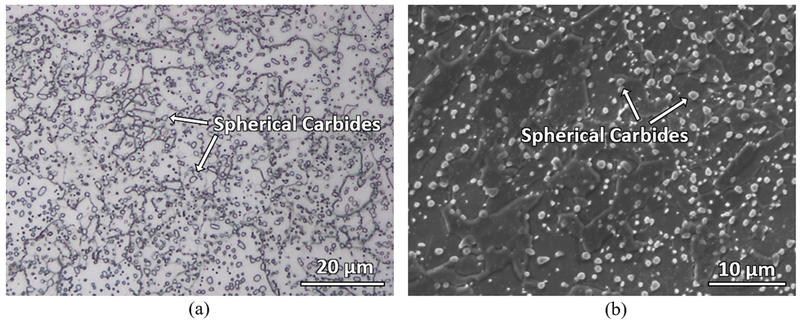 Materials 16 00939 g001