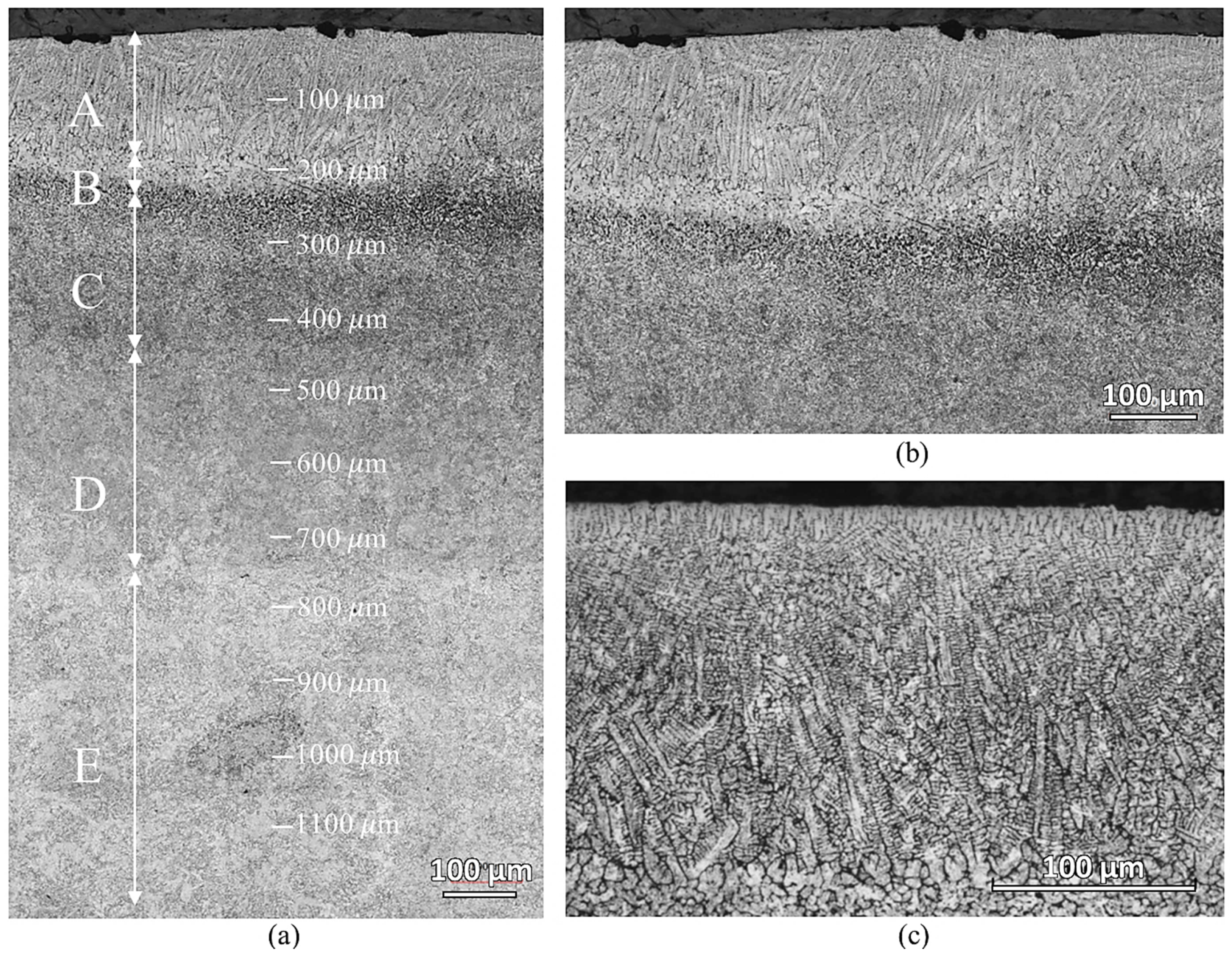 Materials 16 00939 g005