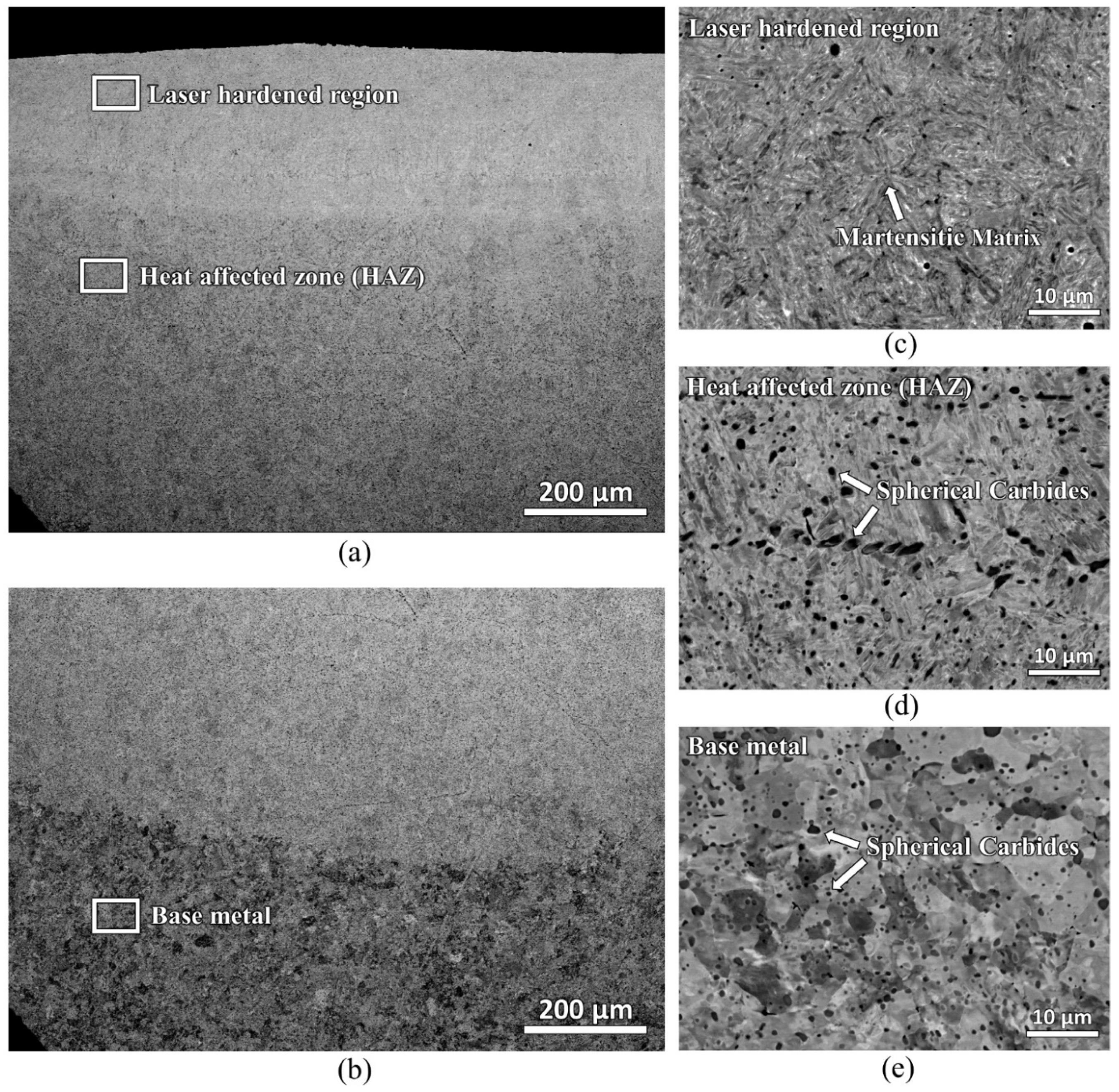 Materials 16 00939 g006