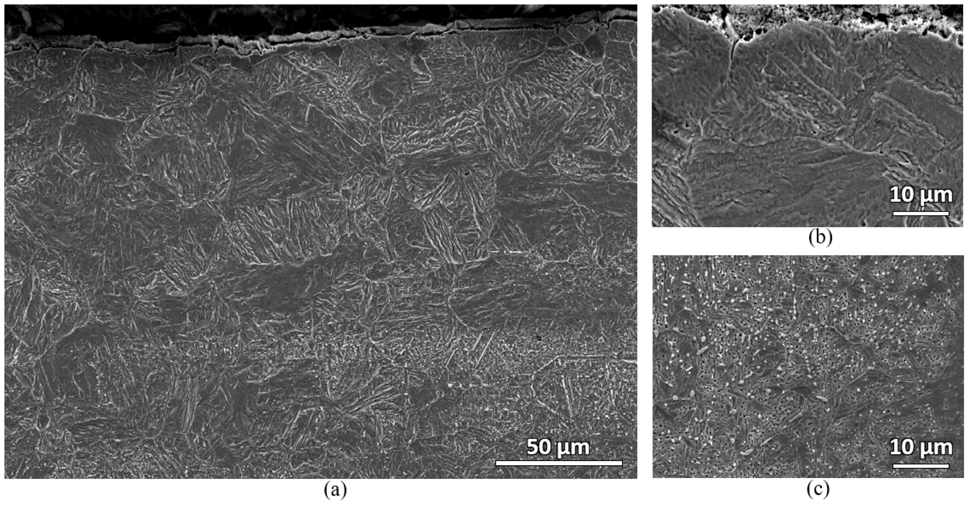 Materials 16 00939 g011