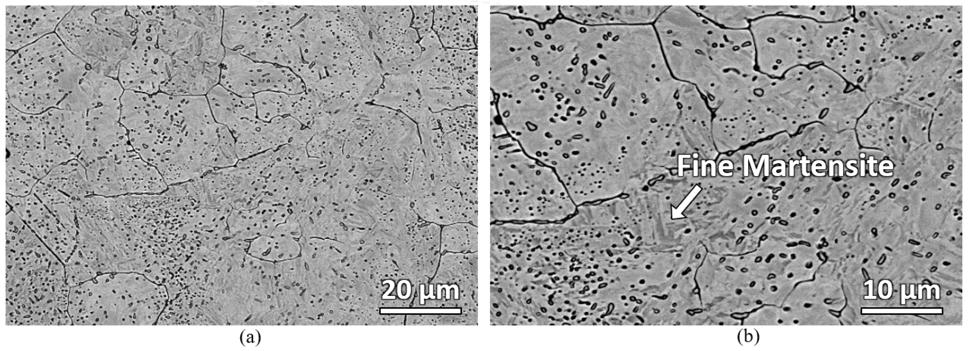 Materials 16 00939 g012