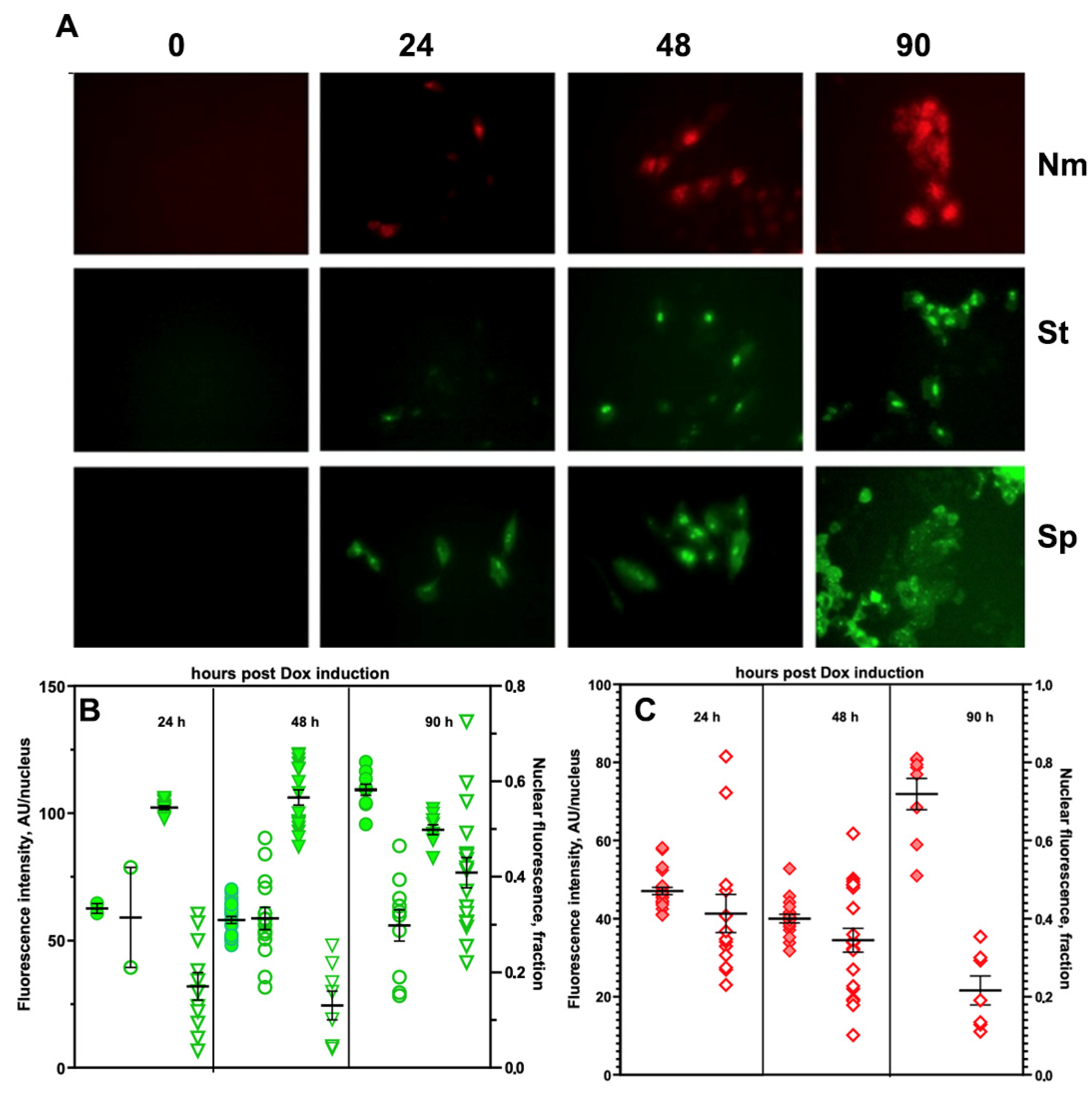 Materials 16 00940 g001