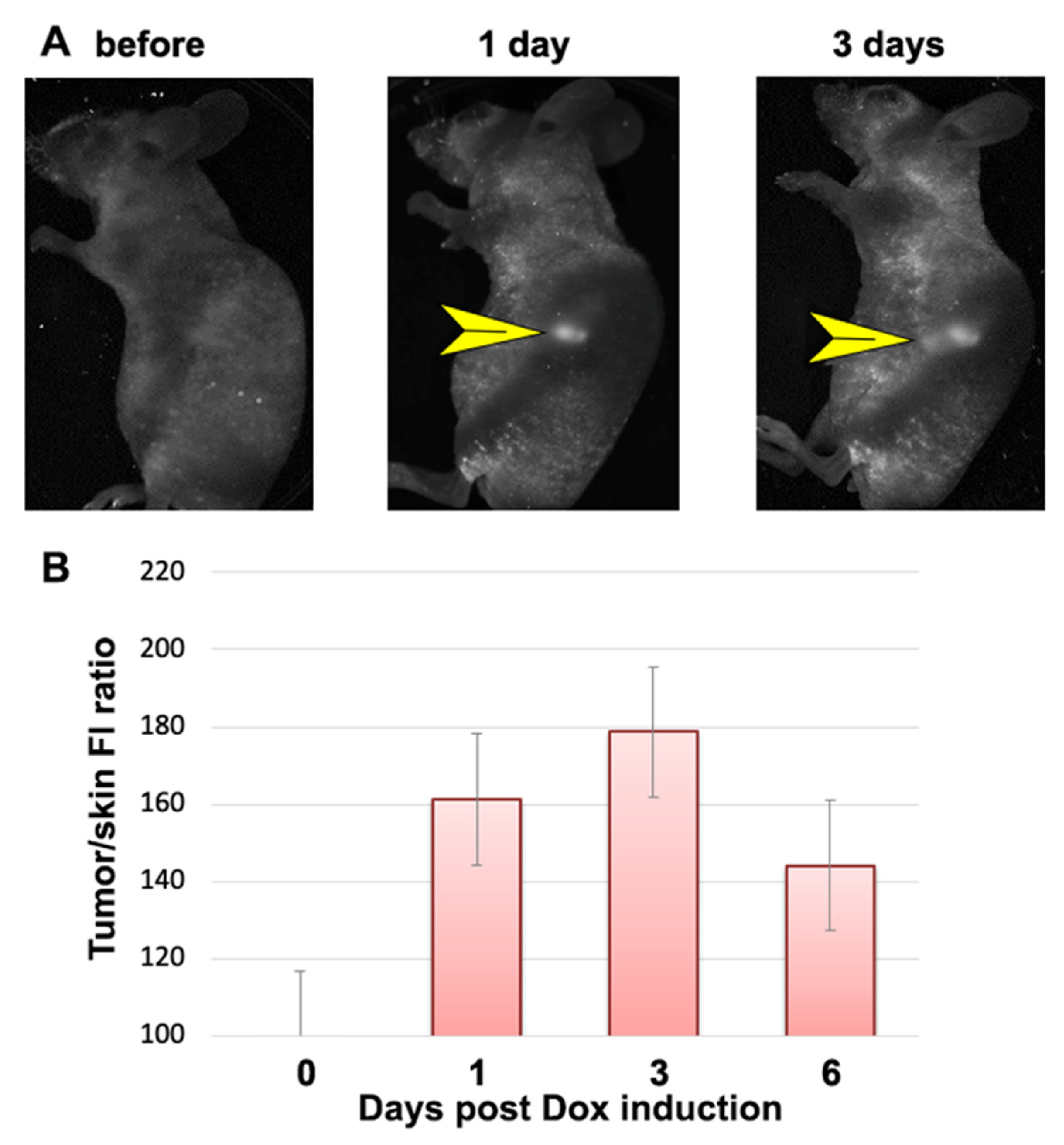 Materials 16 00940 g003