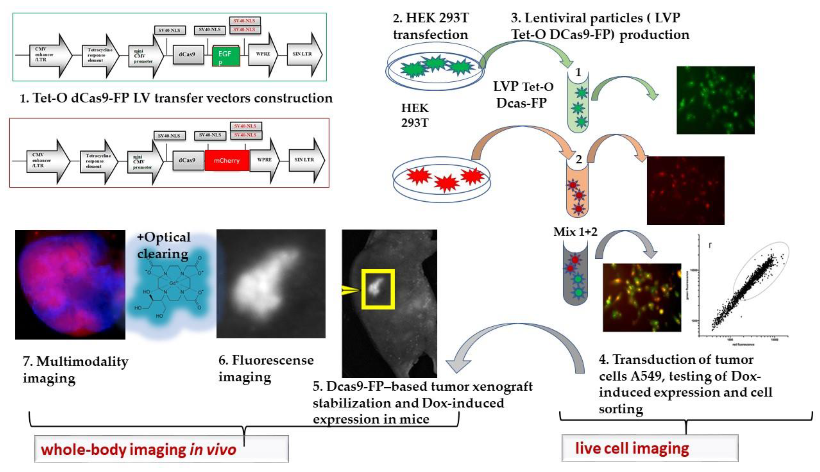Materials 16 00940 g007