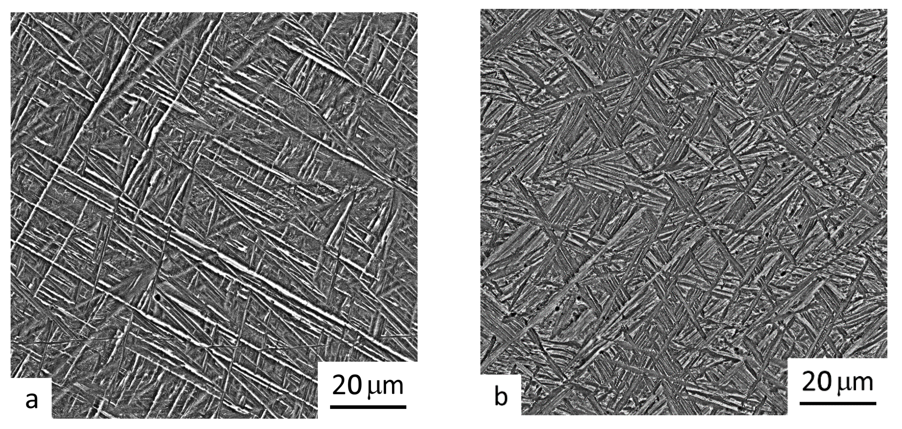 Materials 16 00941 g006