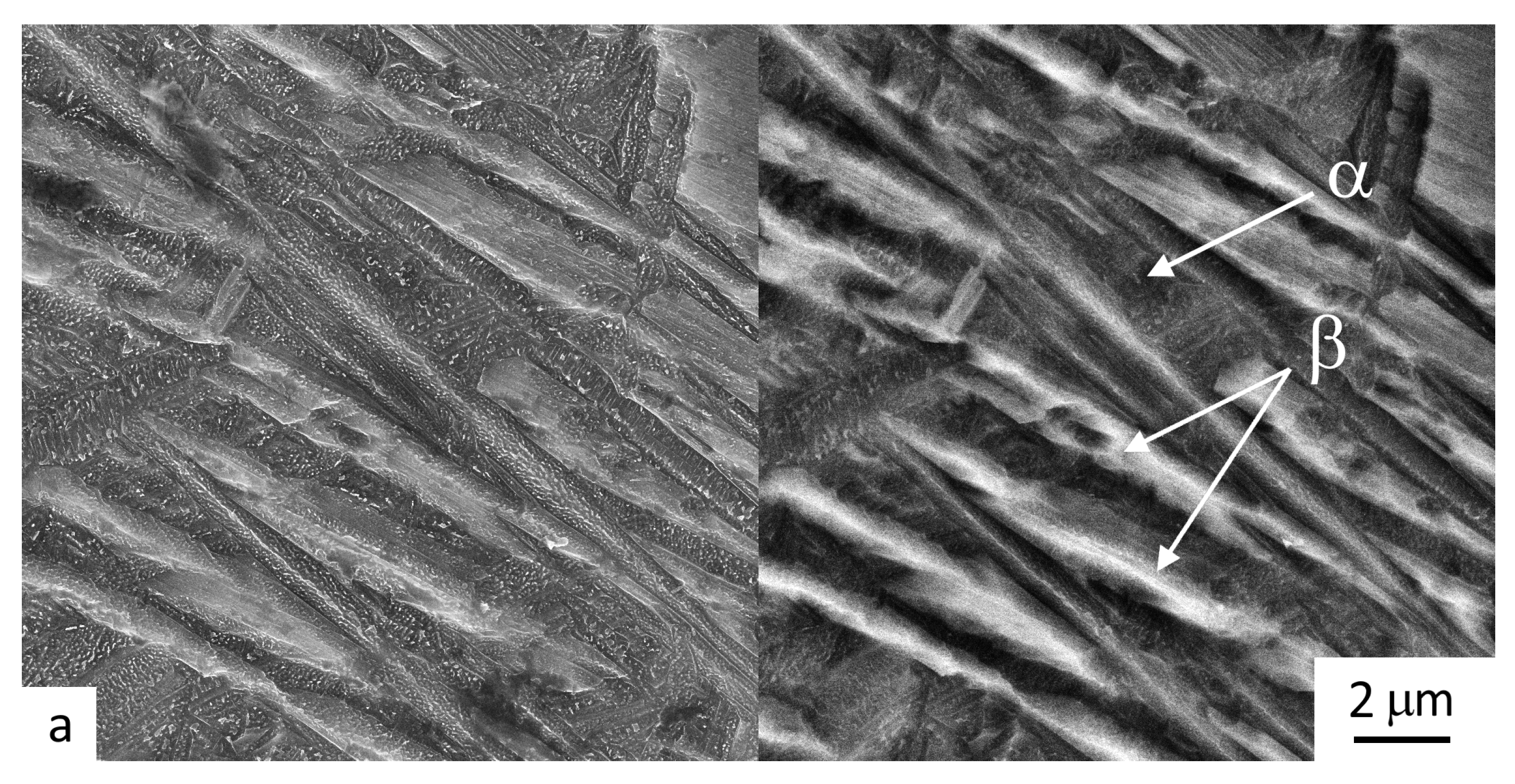 Materials 16 00941 g007a