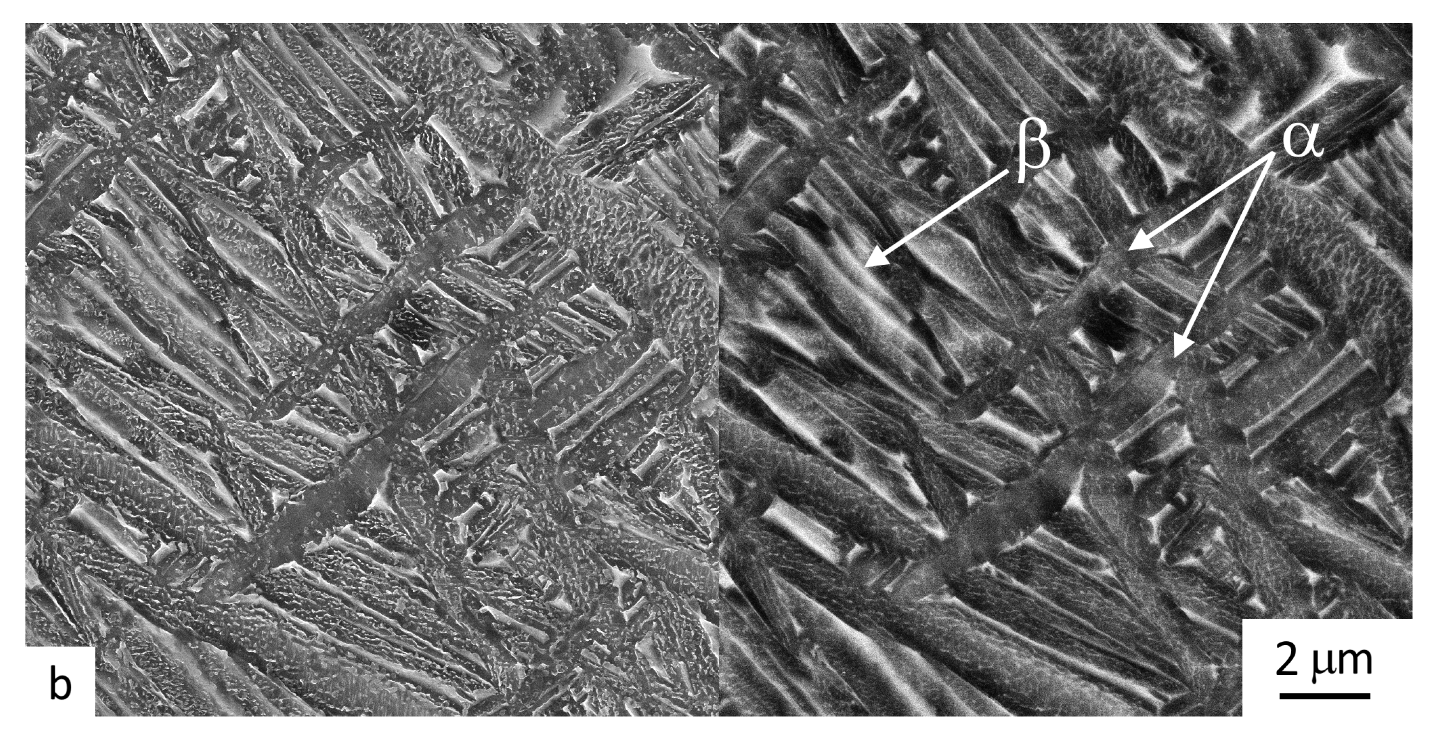 Materials 16 00941 g007b