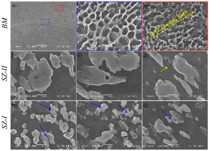 Materials 16 00944 g013