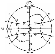 Materials 16 00944 i001