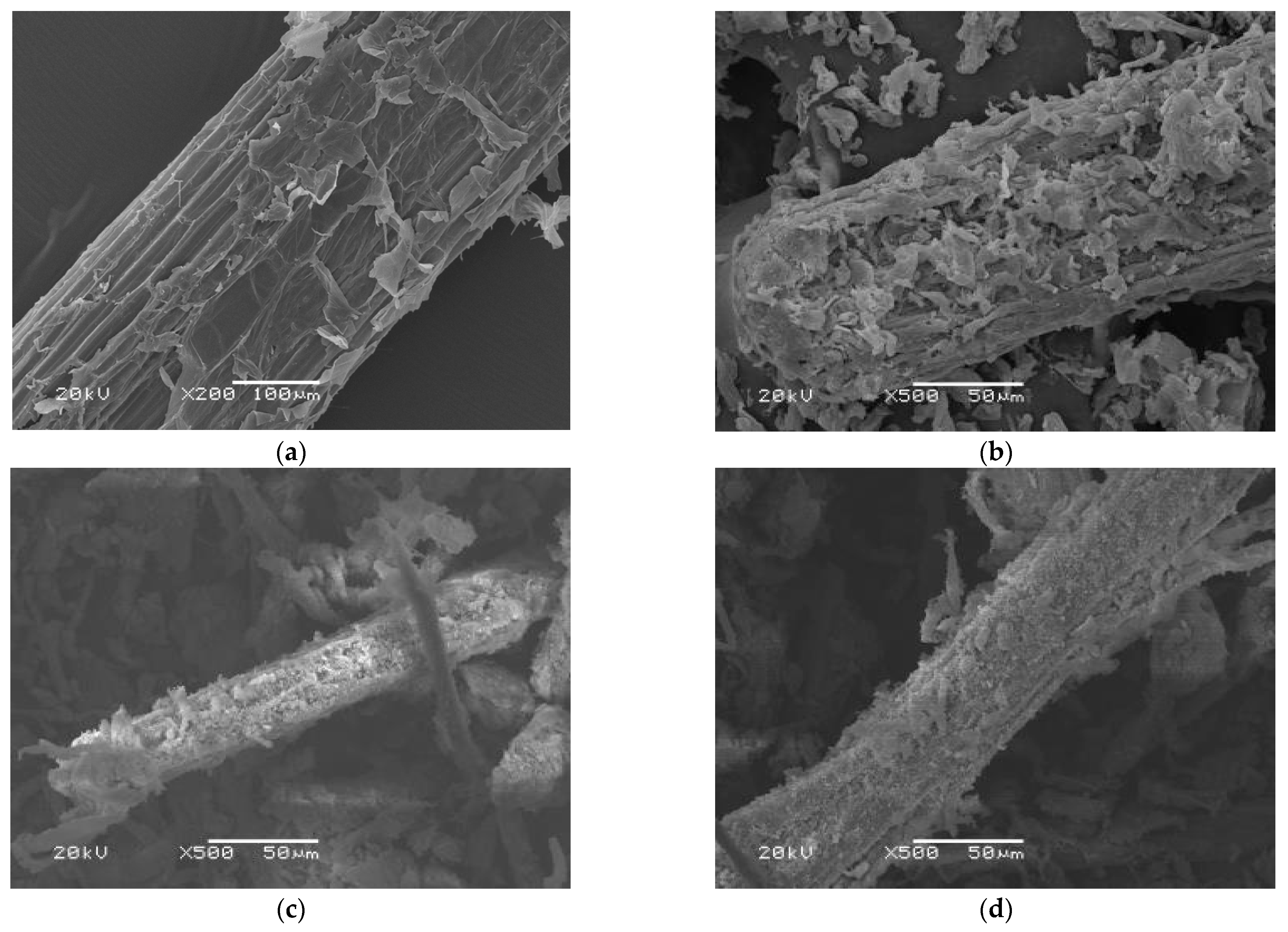 Materials 16 00952 g005a