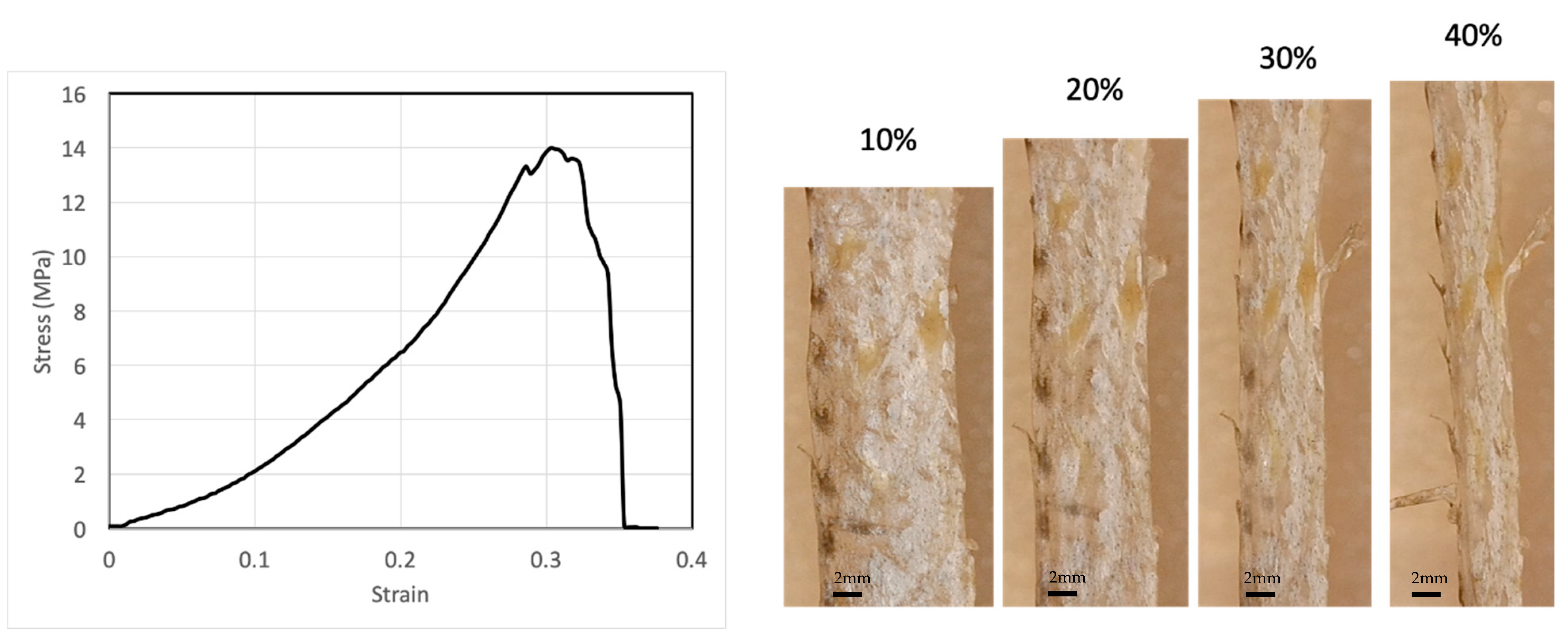 Materials 16 00953 g001 Materials 16 00953 g001