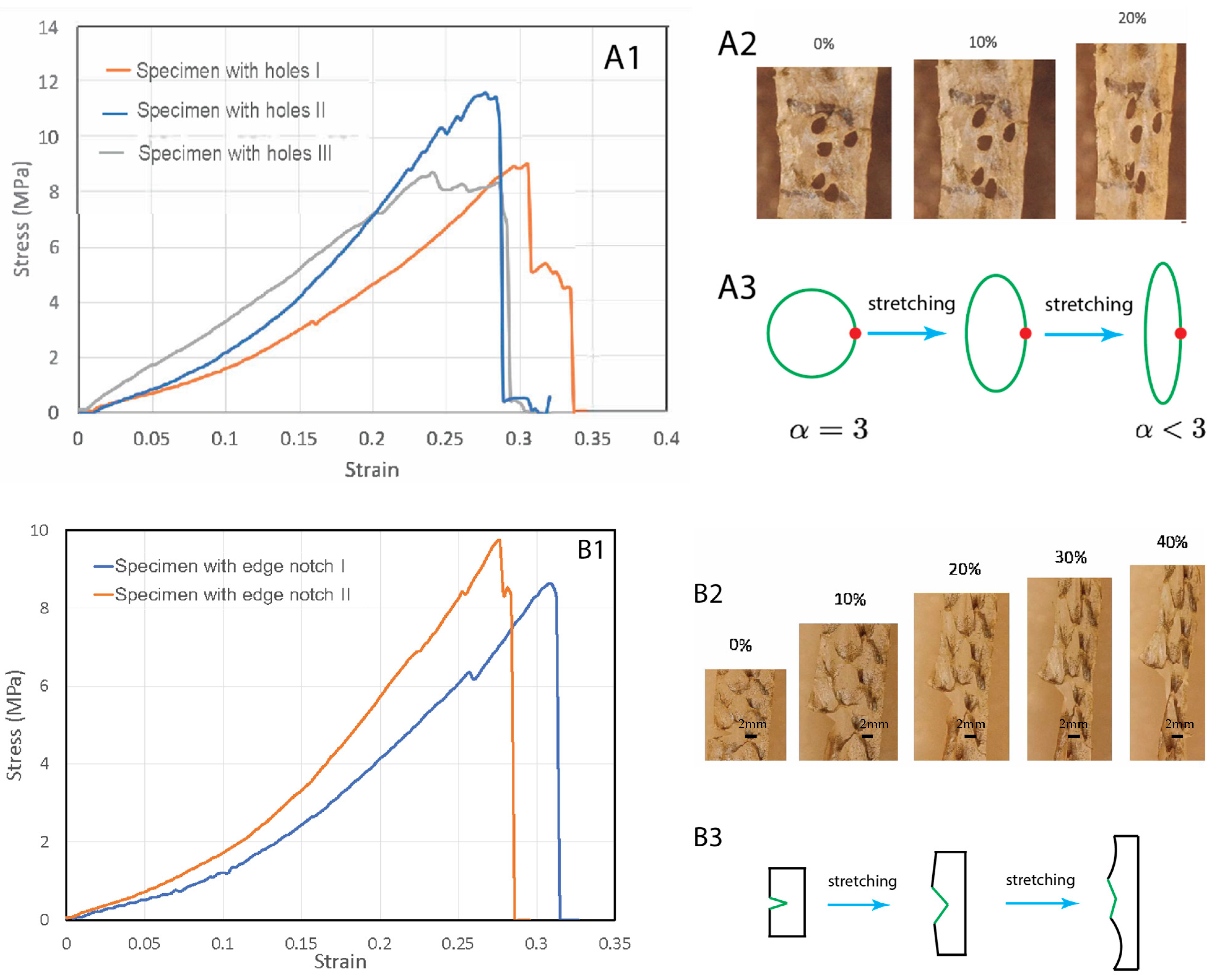 Materials 16 00953 g003 Materials 16 00953 g003